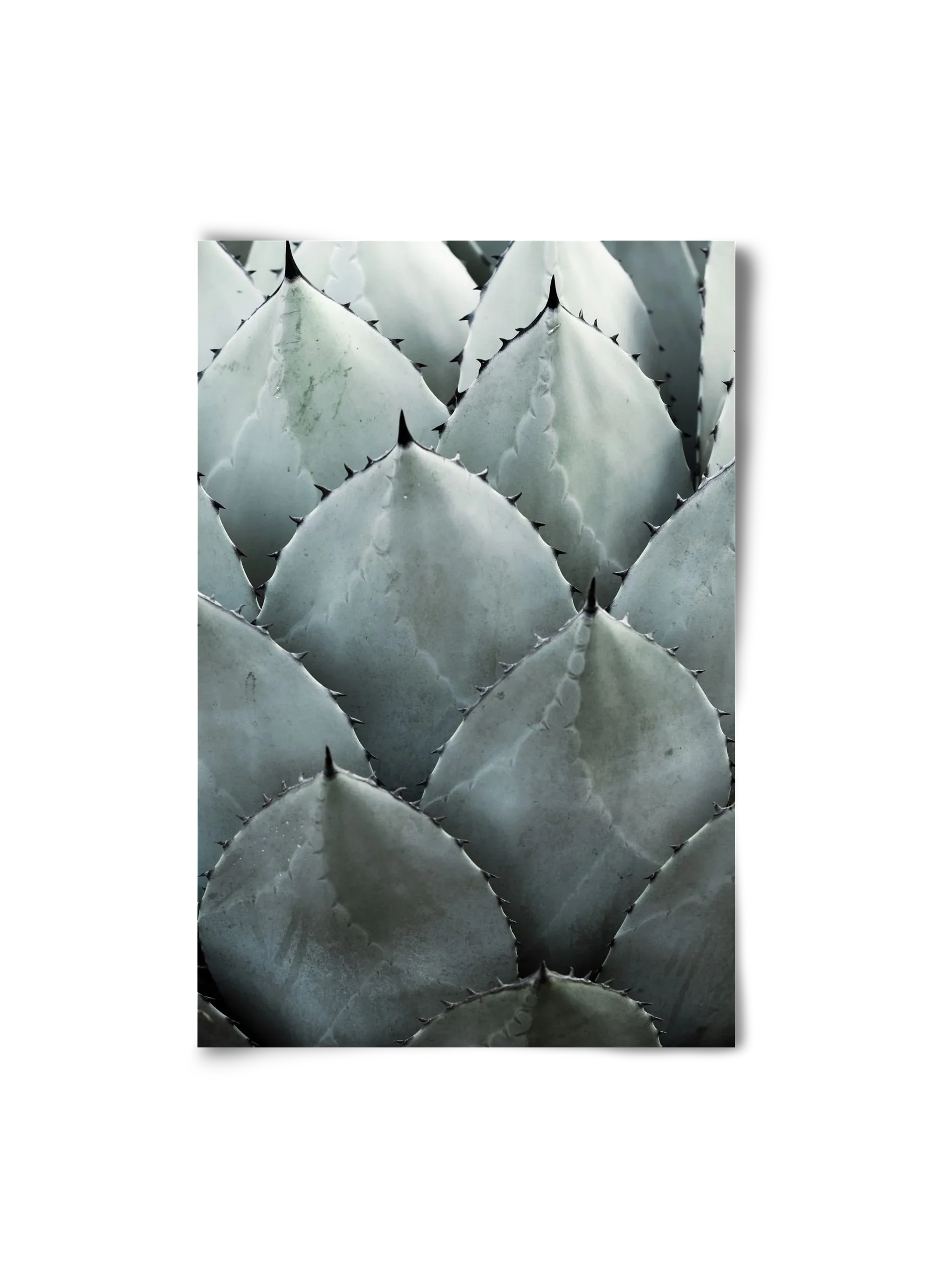 My mint moment - artbridge