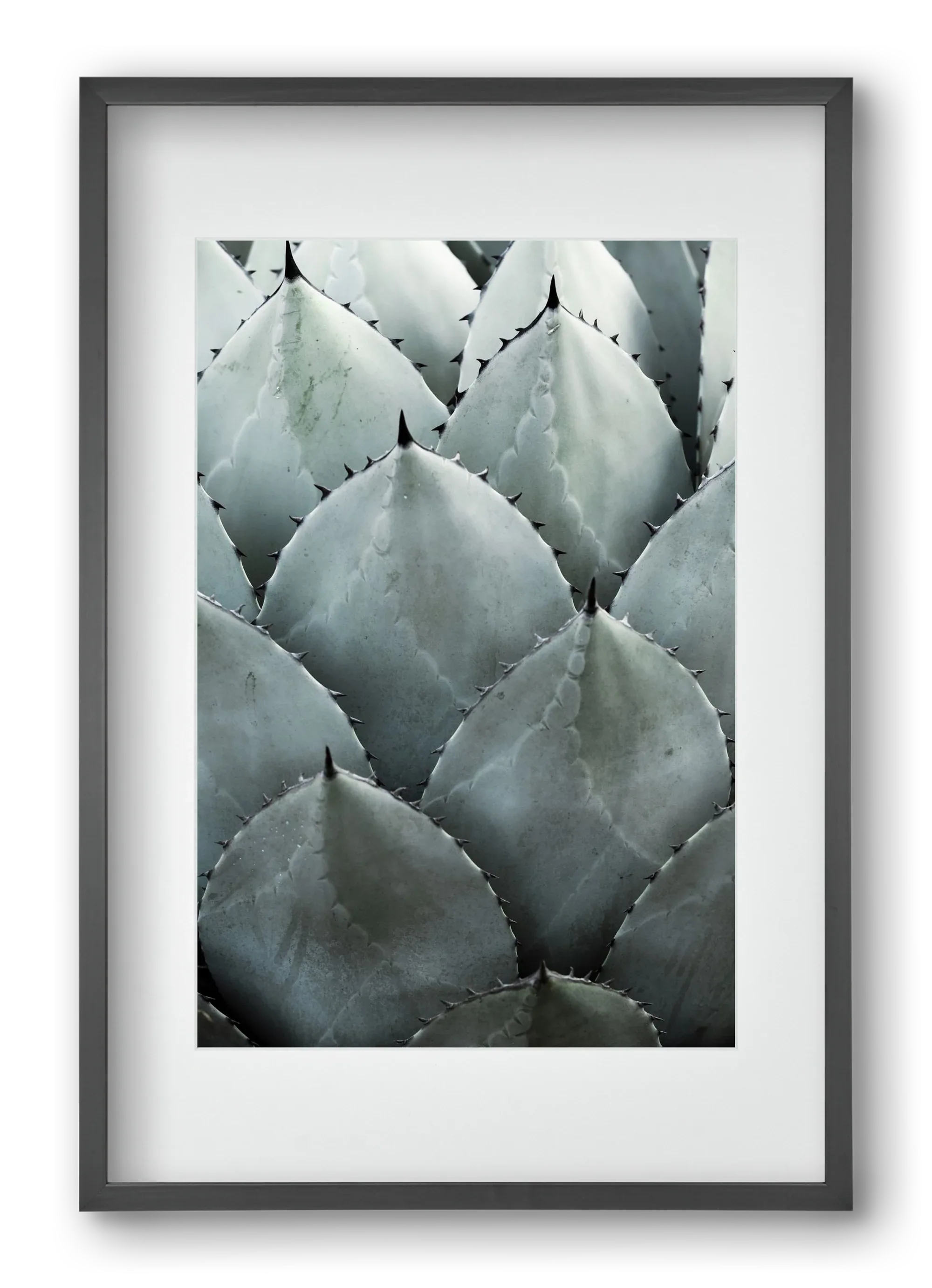 My mint moment - artbridge