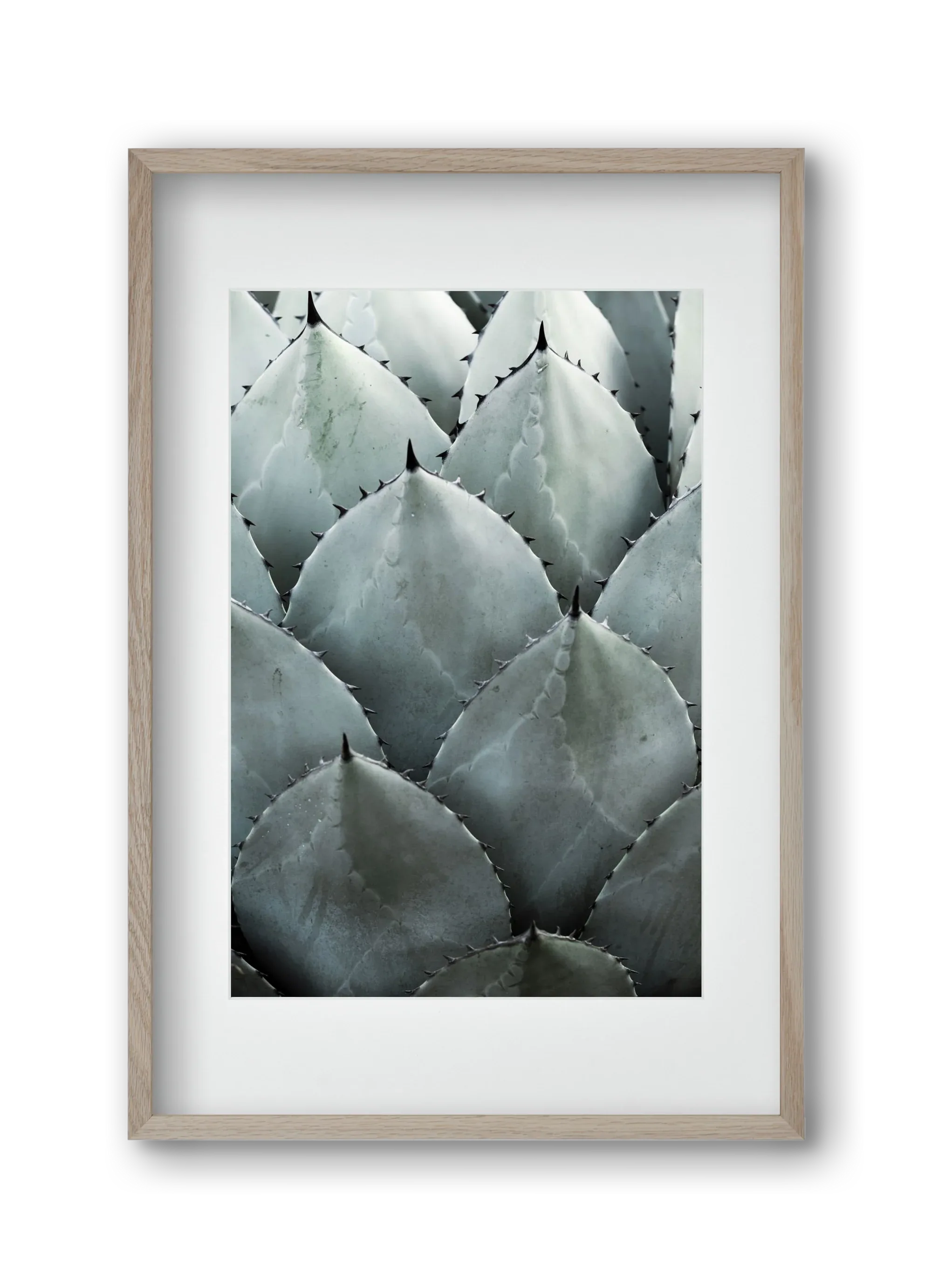 My mint moment - artbridge