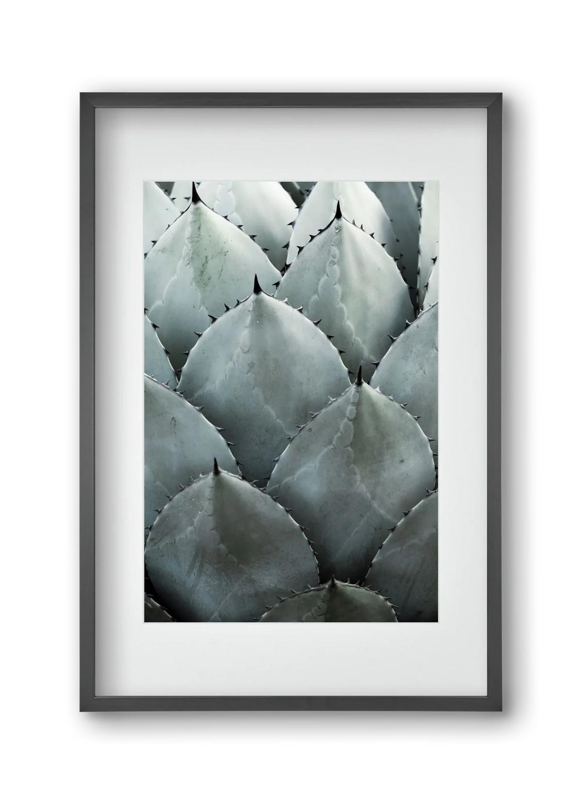 My mint moment - artbridge