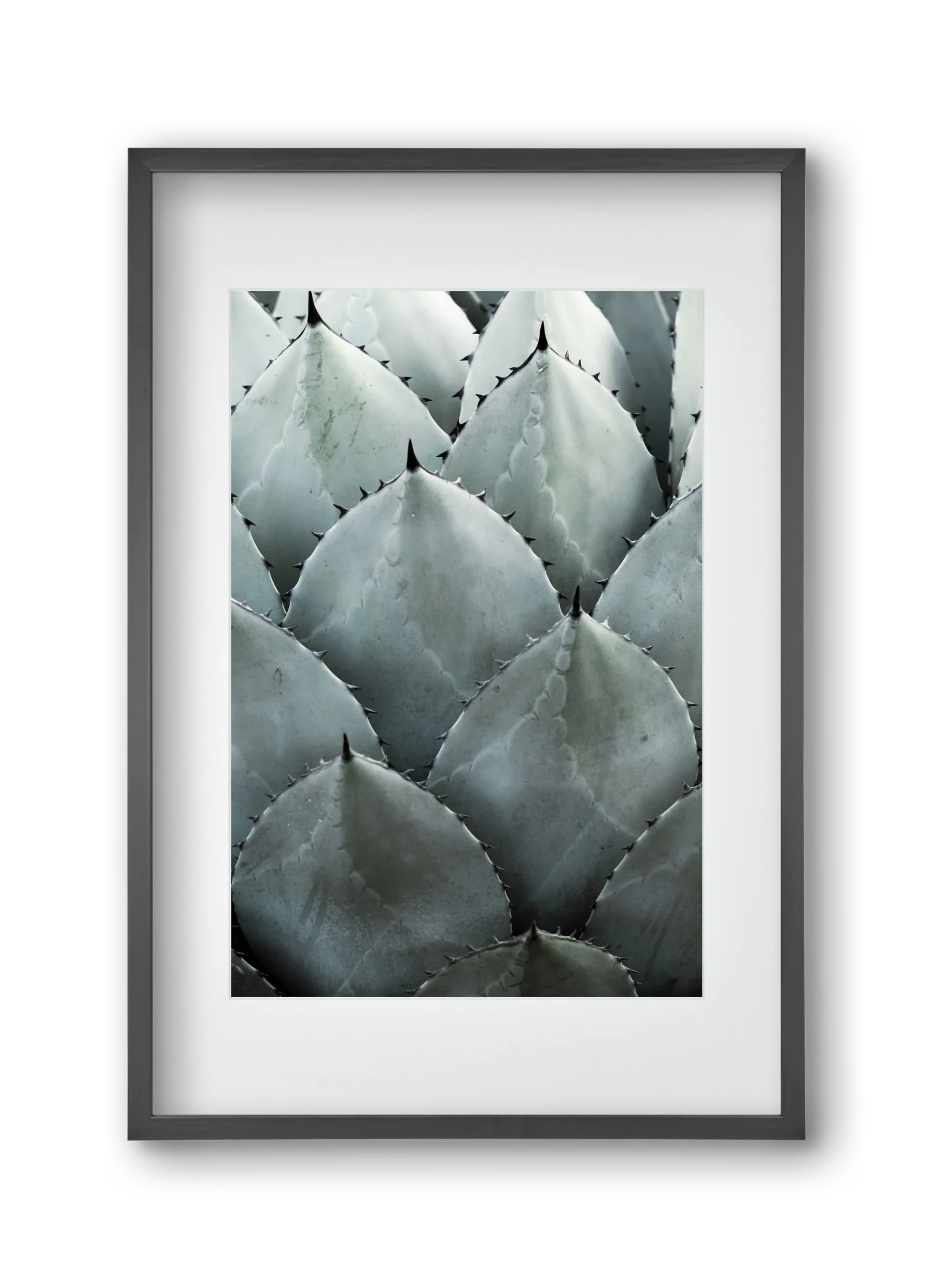 My mint moment - artbridge
