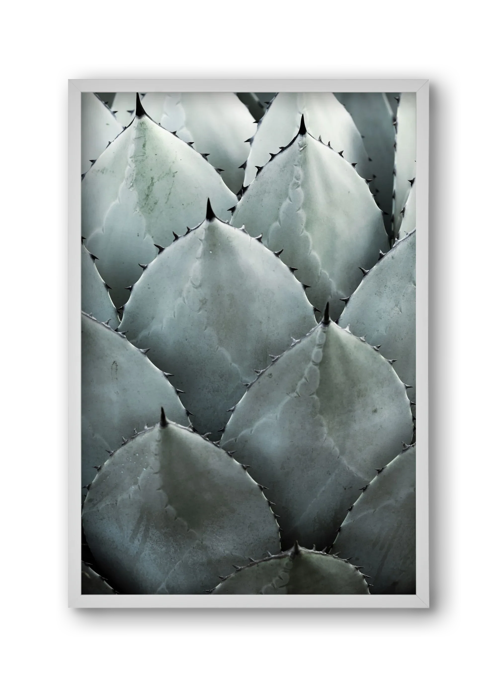 My mint moment - artbridge