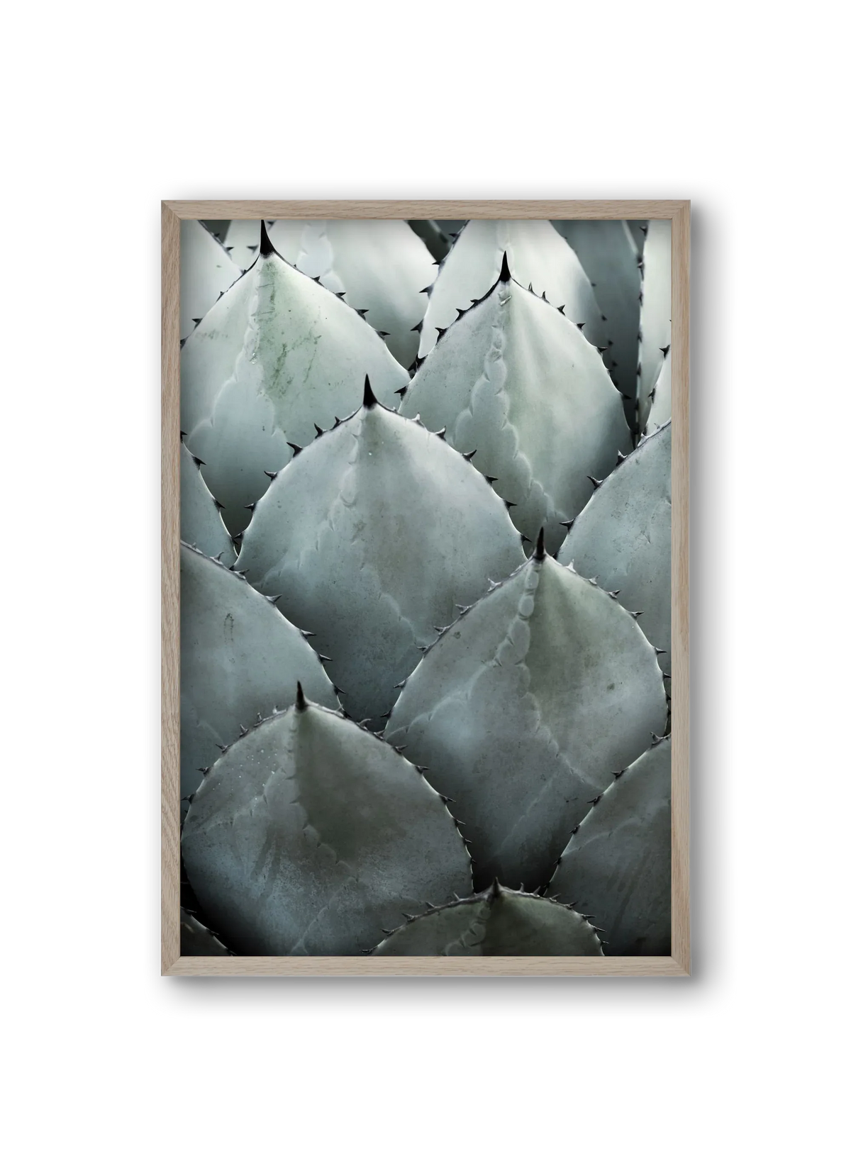 My mint moment - artbridge