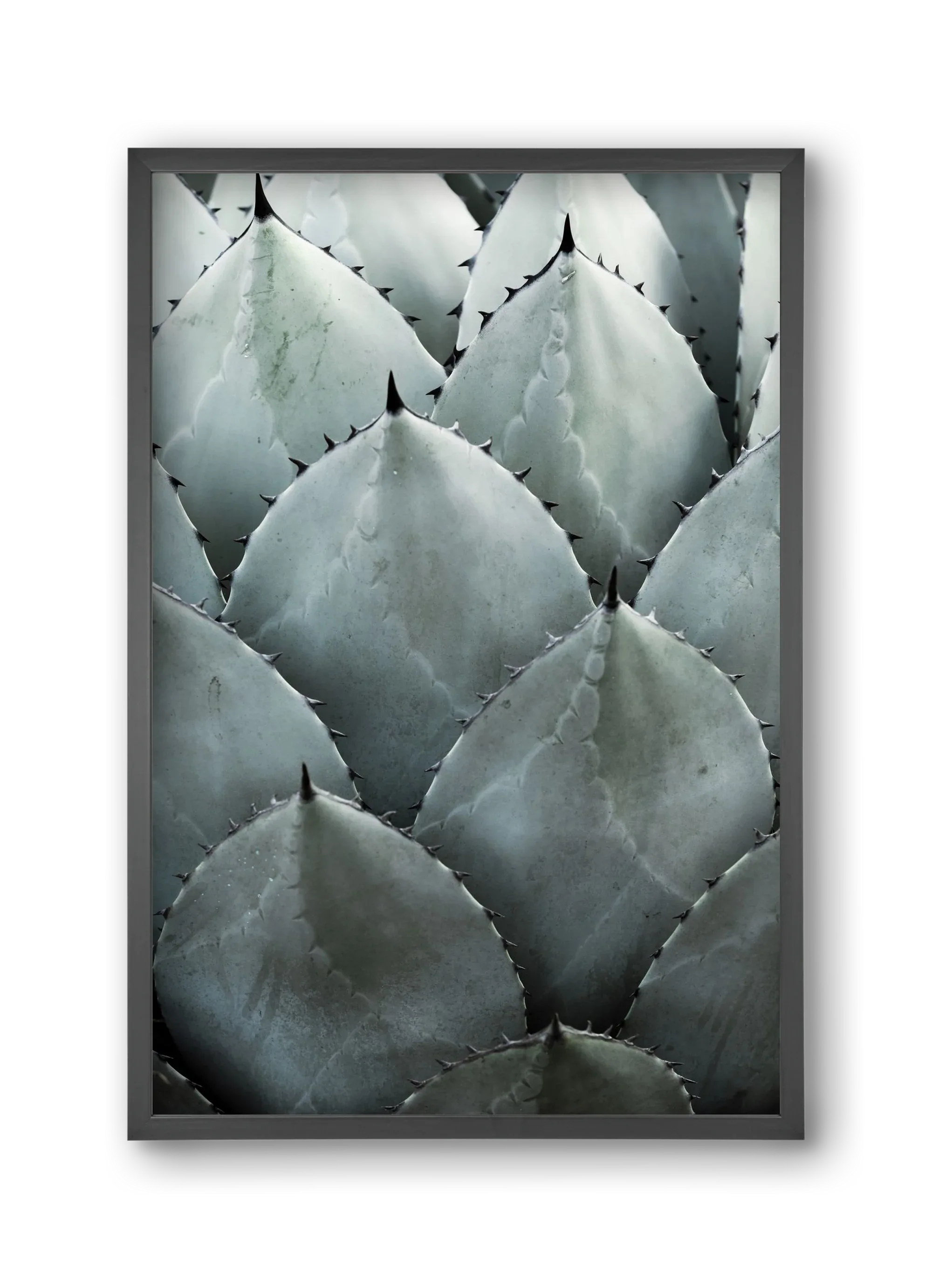 My mint moment - artbridge