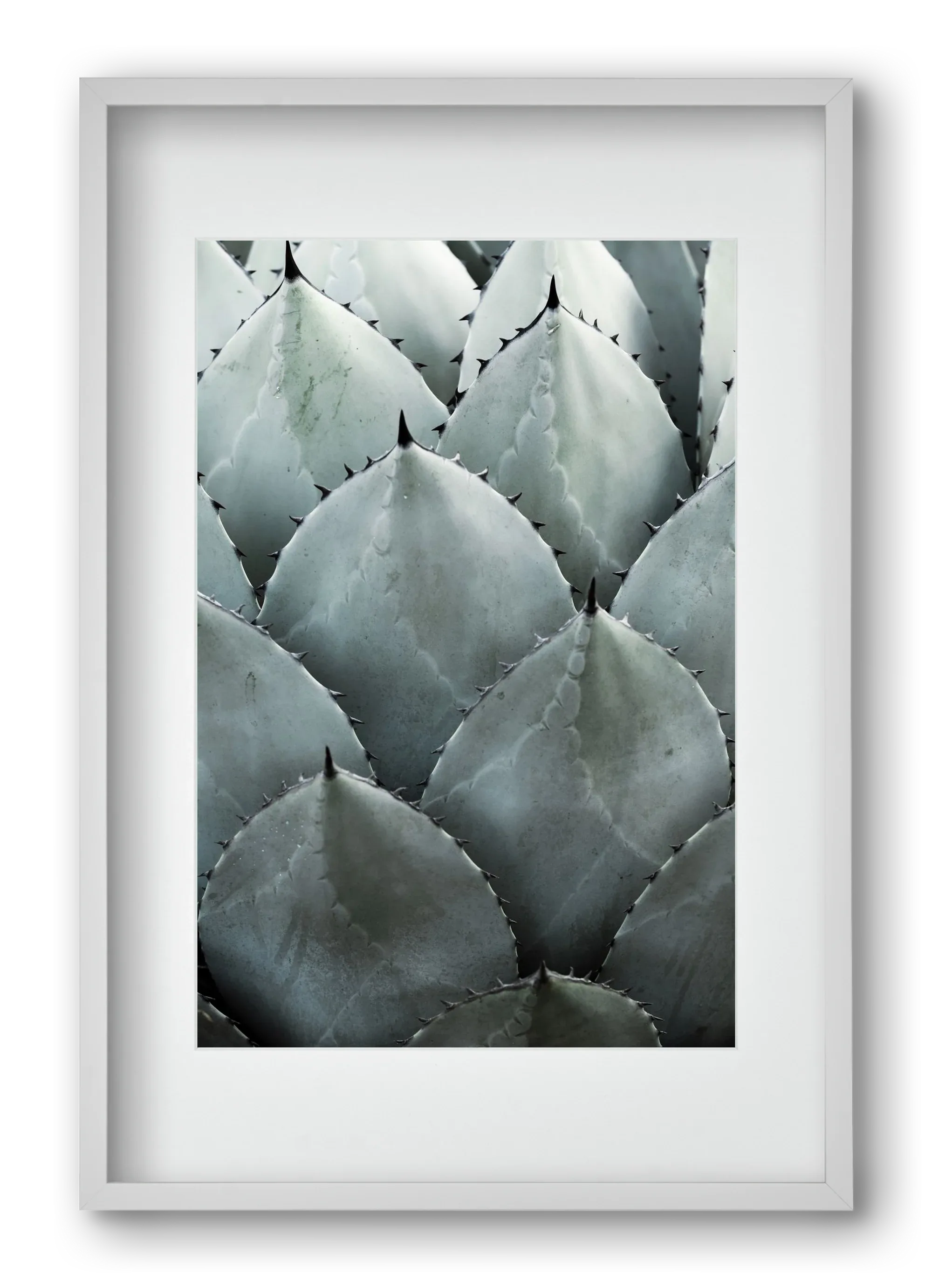 My mint moment - artbridge