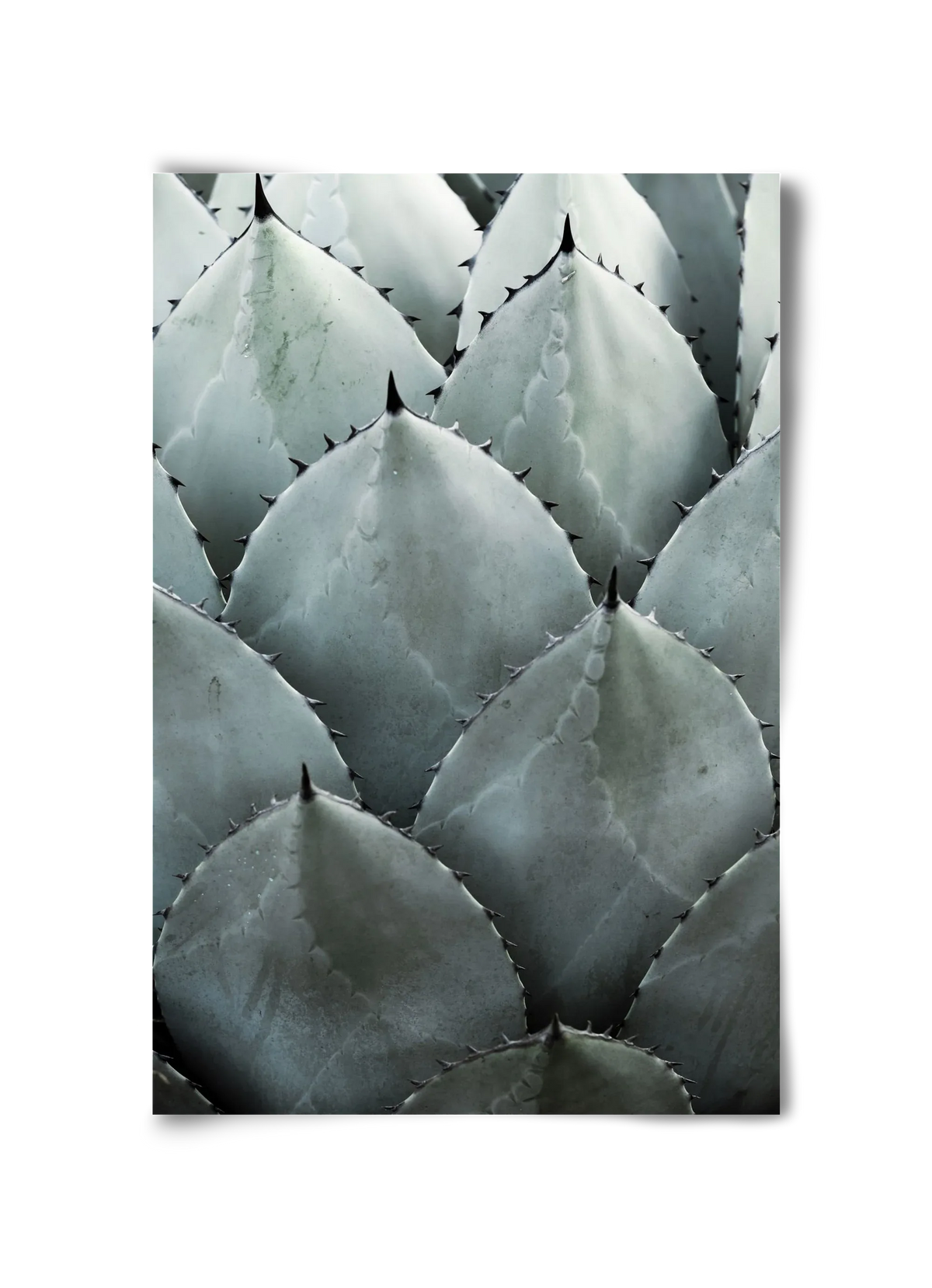 My mint moment - artbridge
