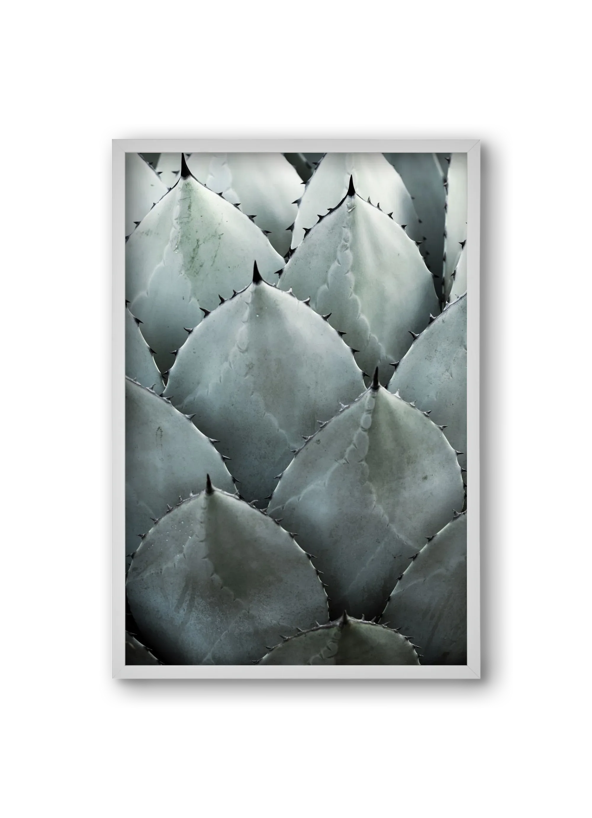 My mint moment - artbridge