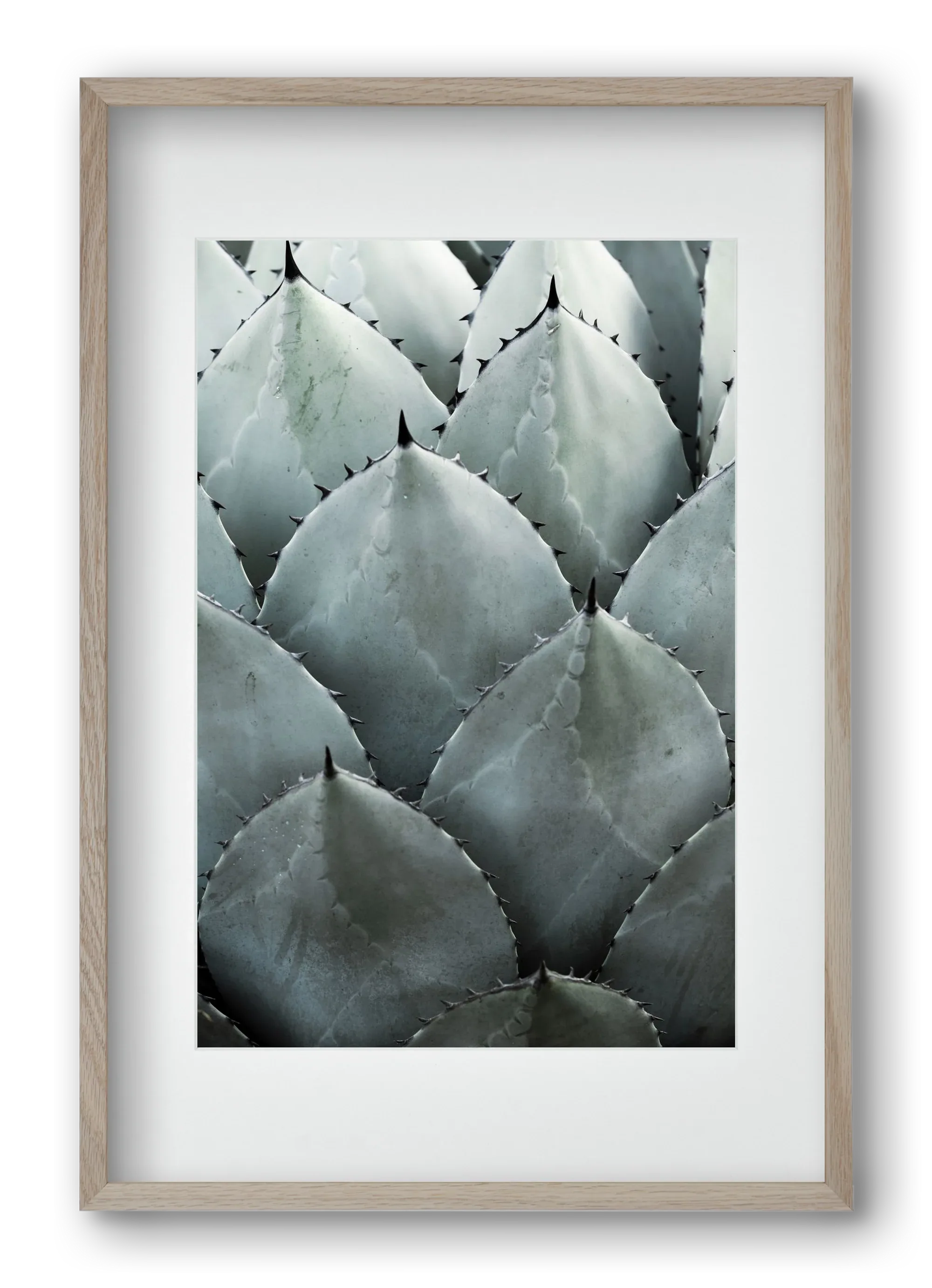 My mint moment - artbridge