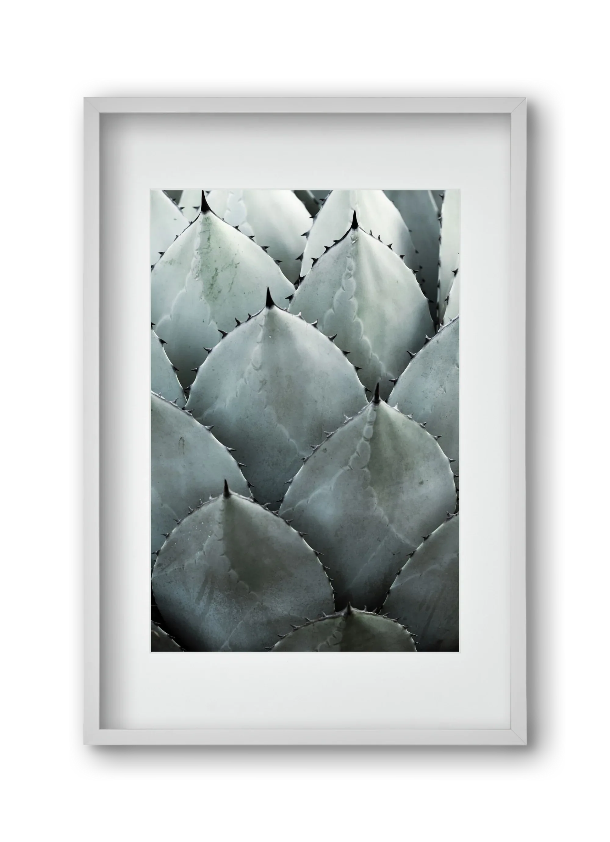 My mint moment - artbridge