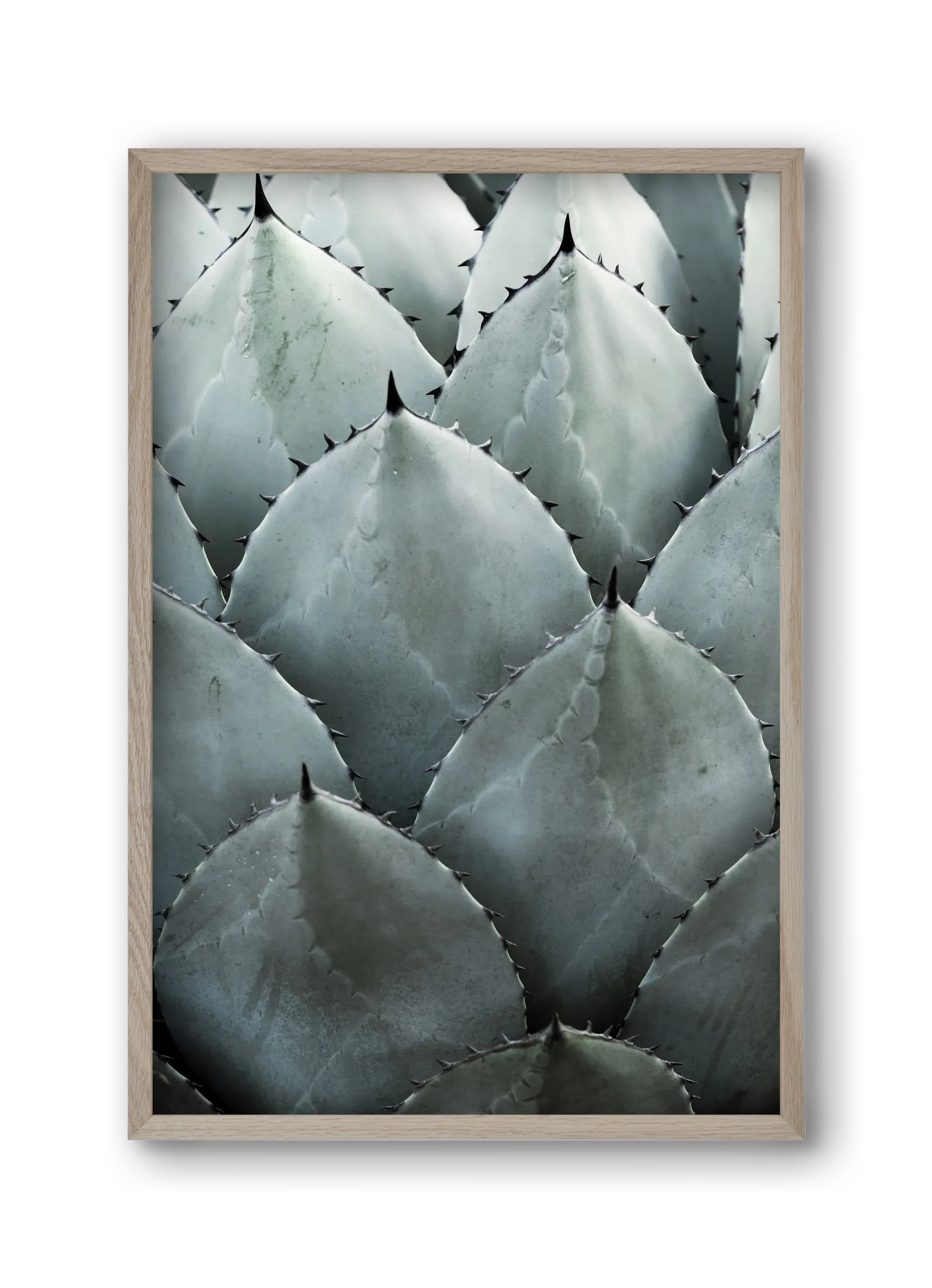 My mint moment - artbridge