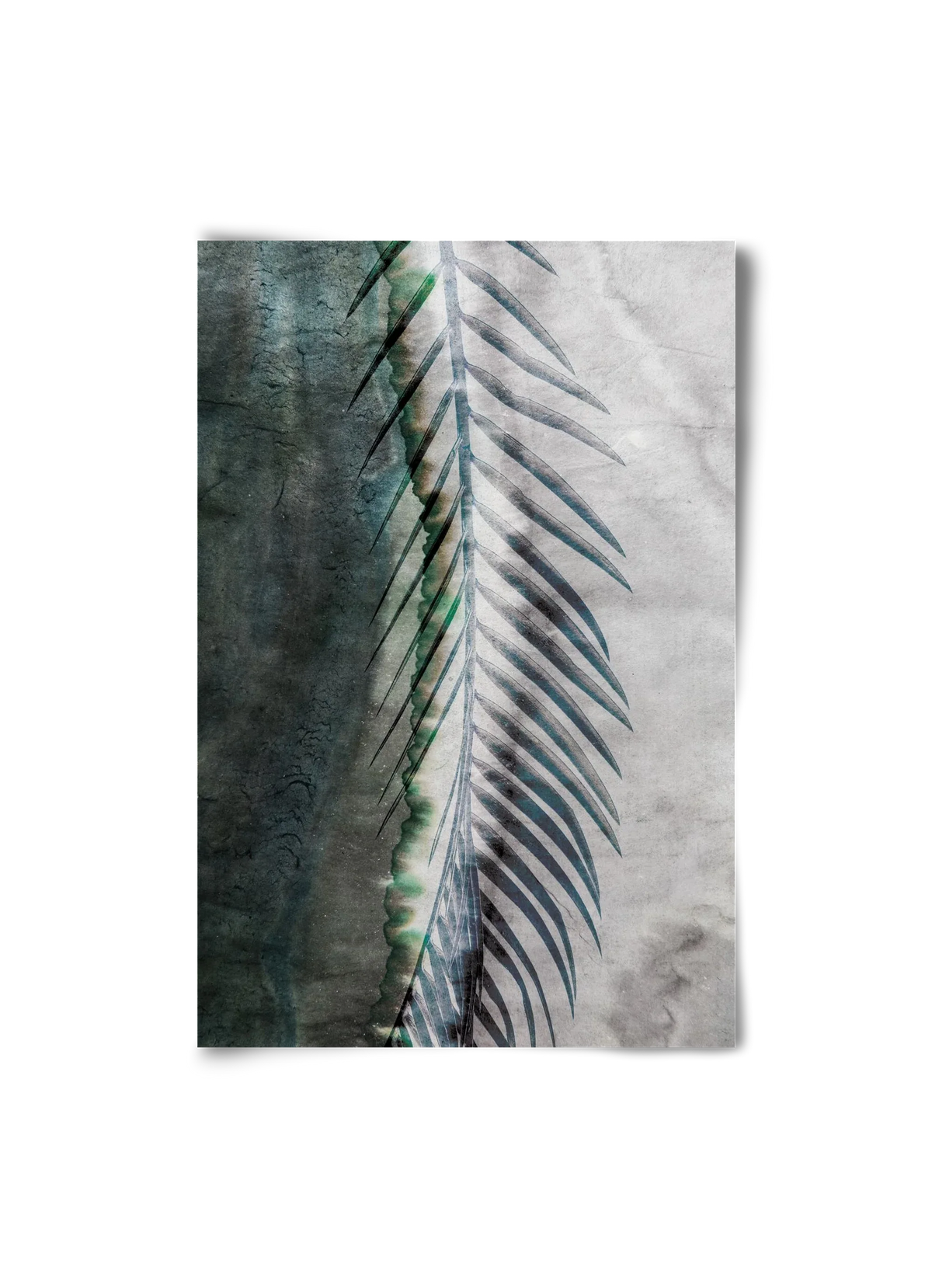 Natural selection - artbridge