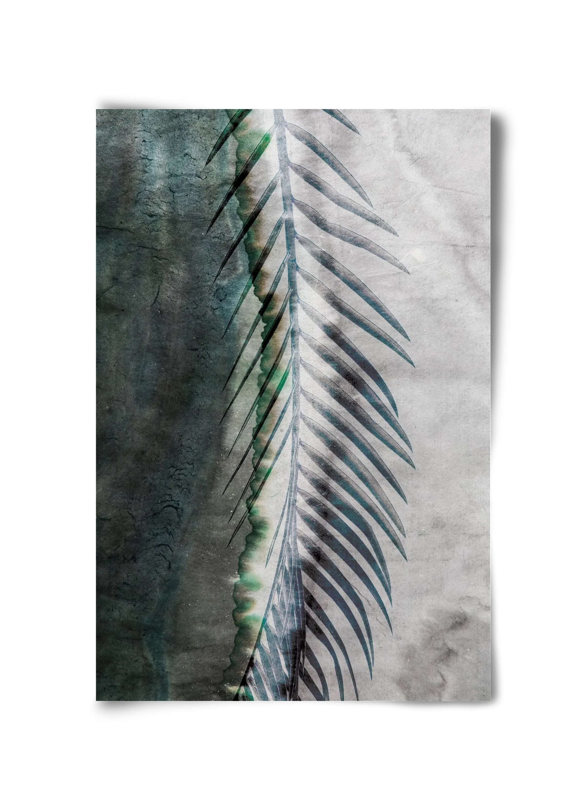 Natural selection - artbridge