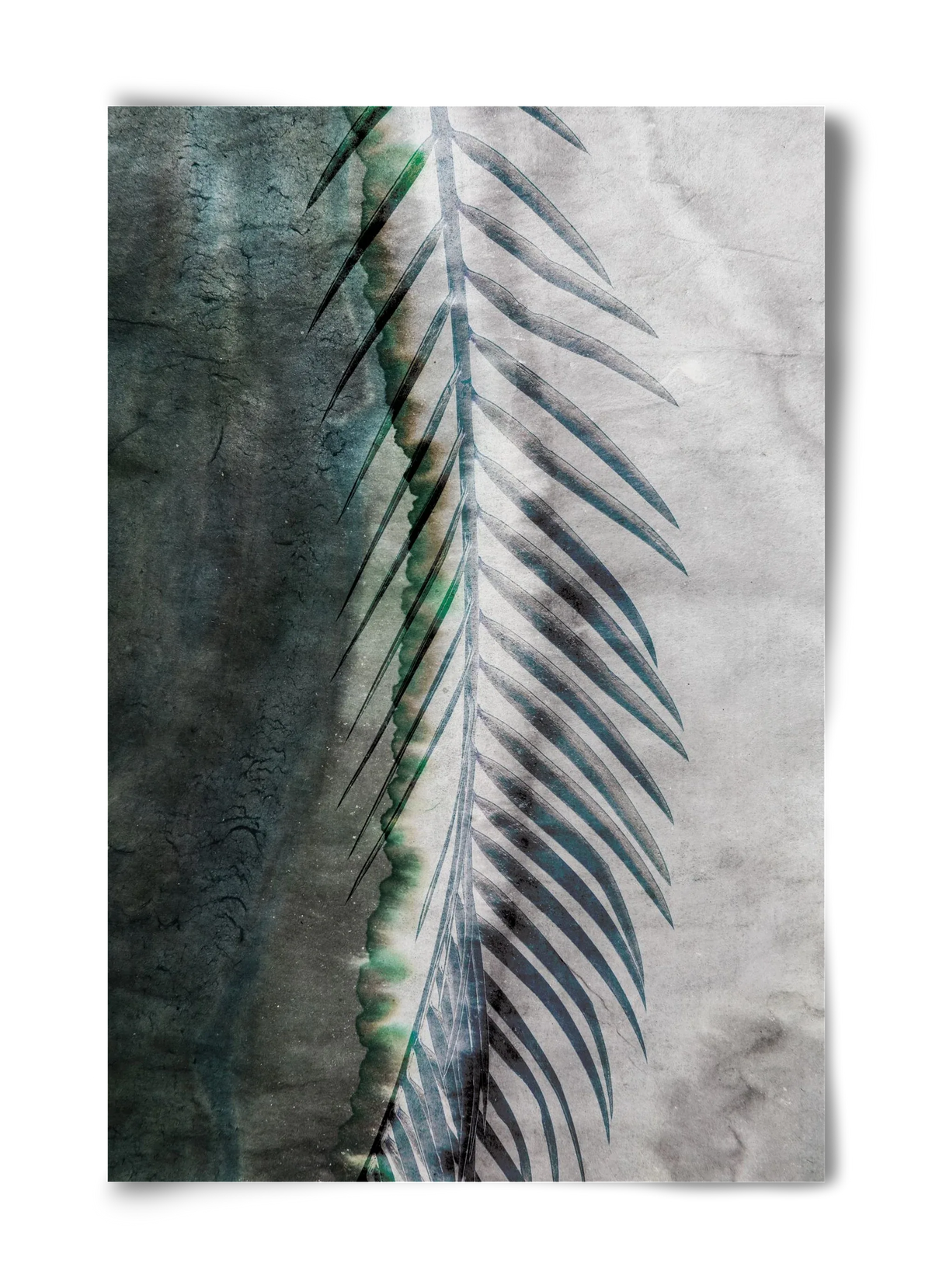 Natural selection - artbridge