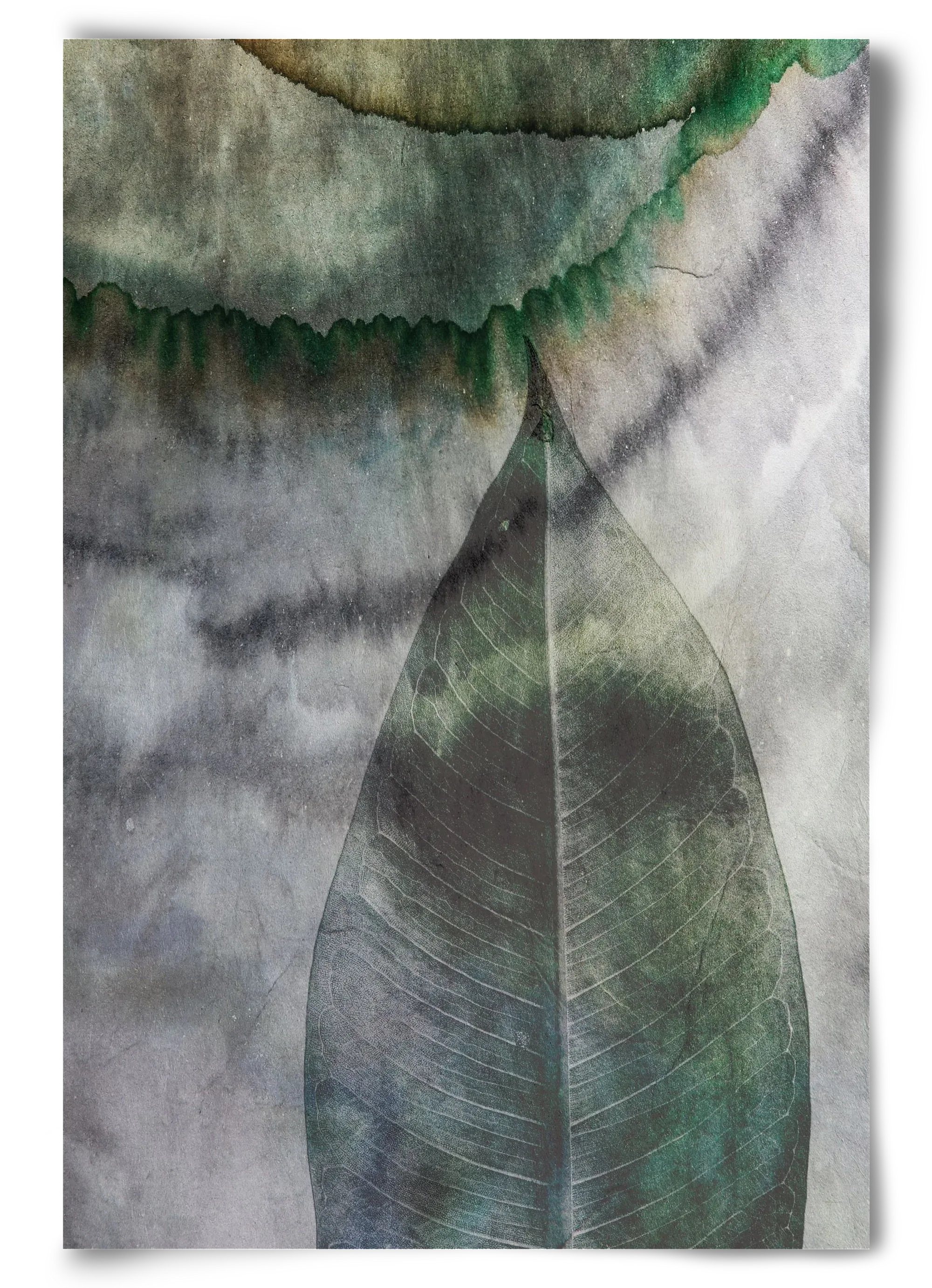 Natural selection II. - artbridge