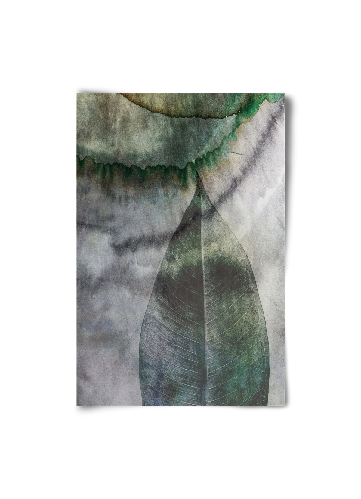 Natural selection II. - artbridge