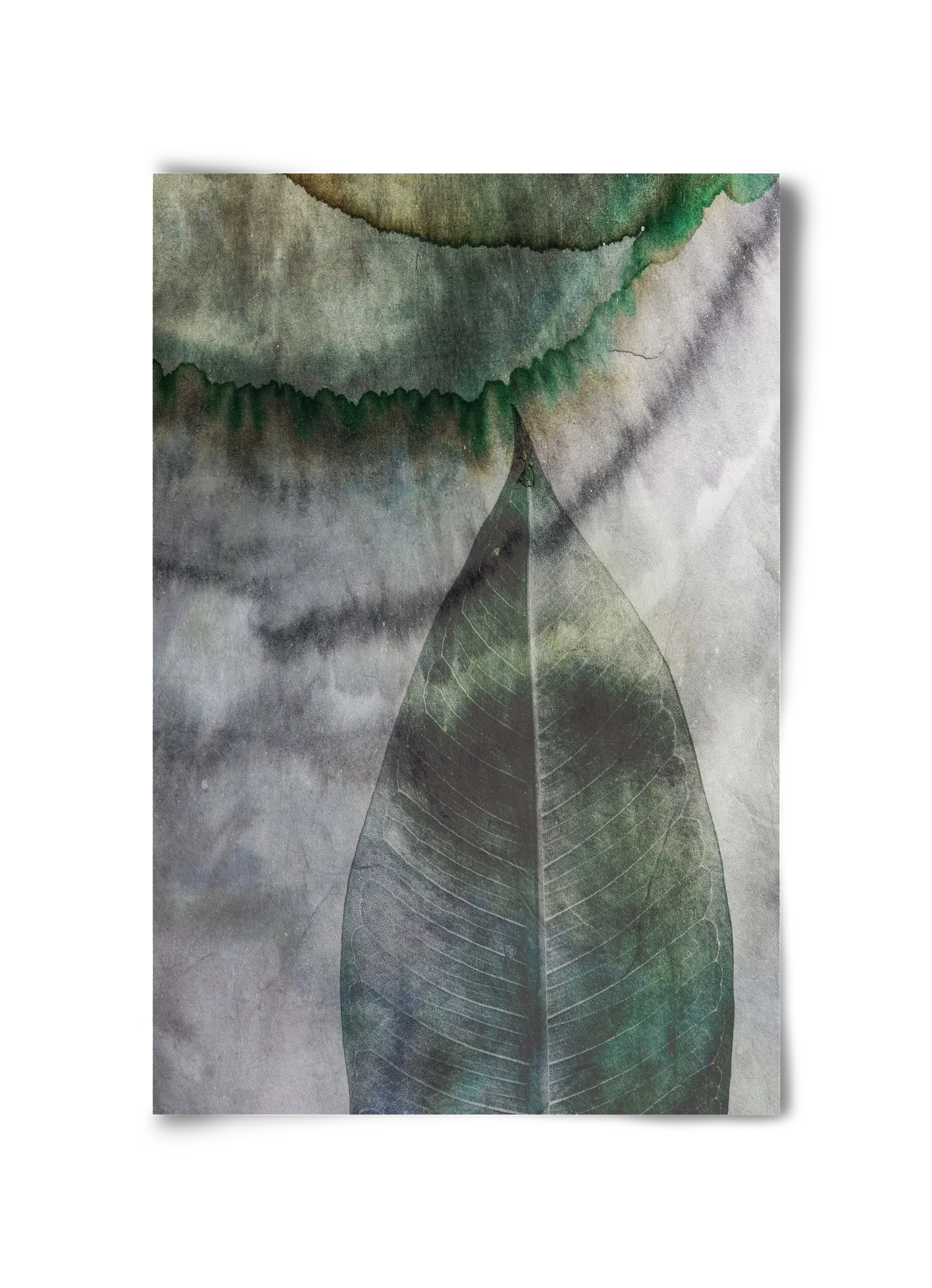 Natural selection II. - artbridge