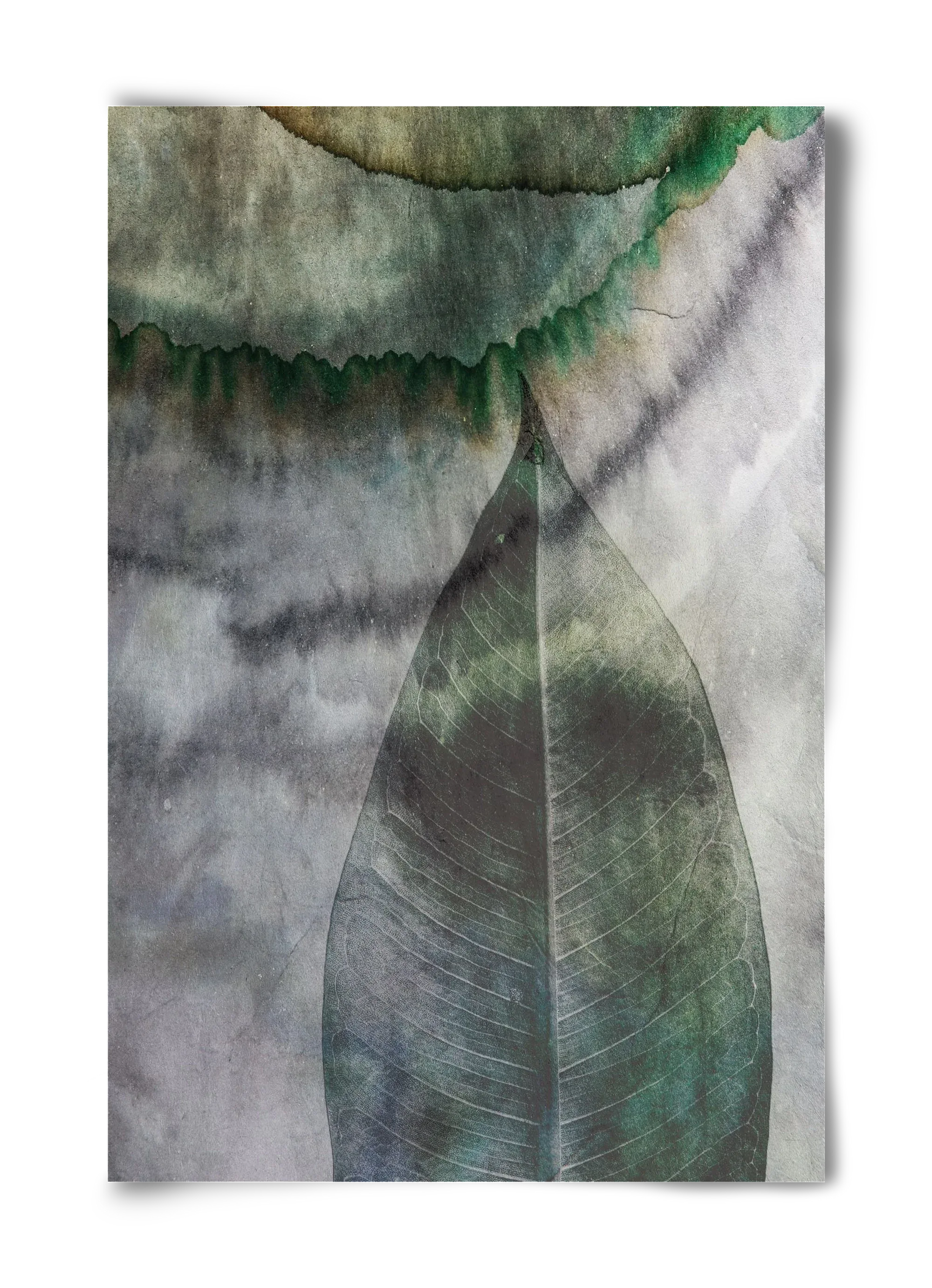 Natural selection II. - artbridge