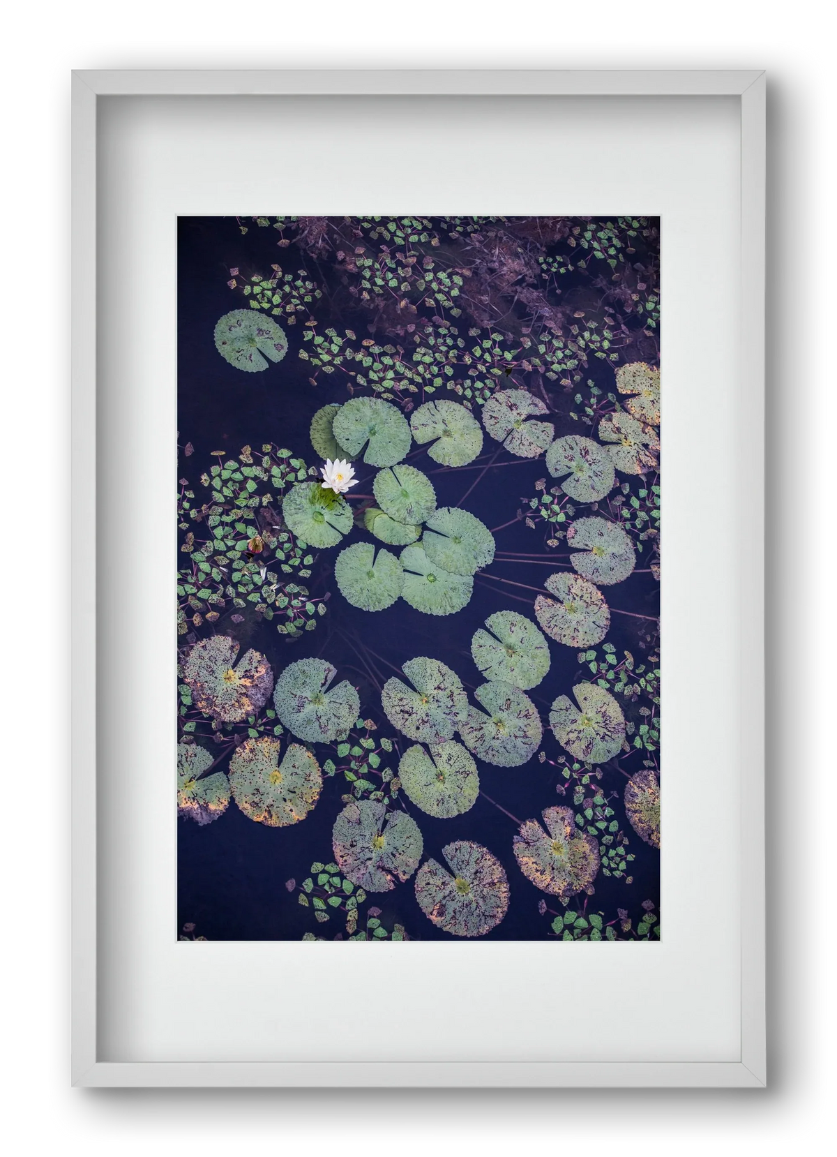 Okovango - artbridge