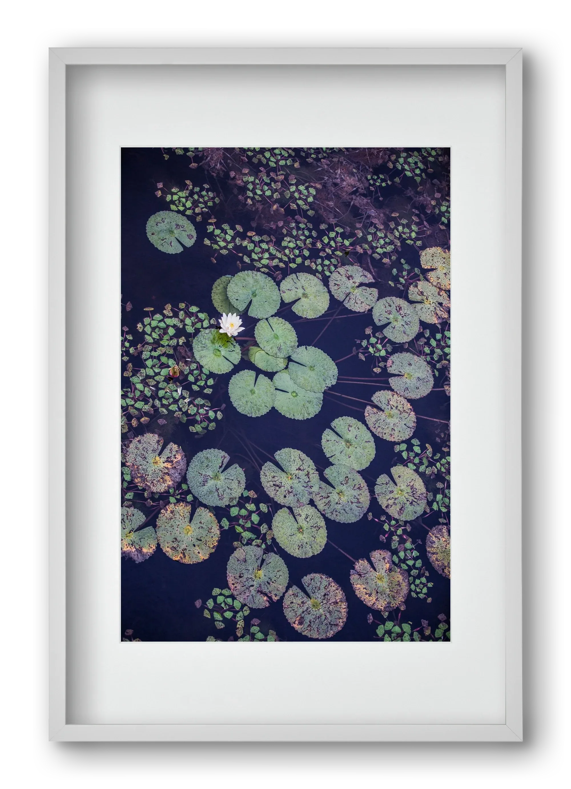 Okovango - artbridge