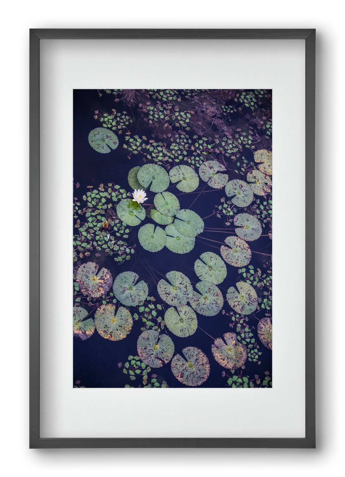 Okovango - artbridge