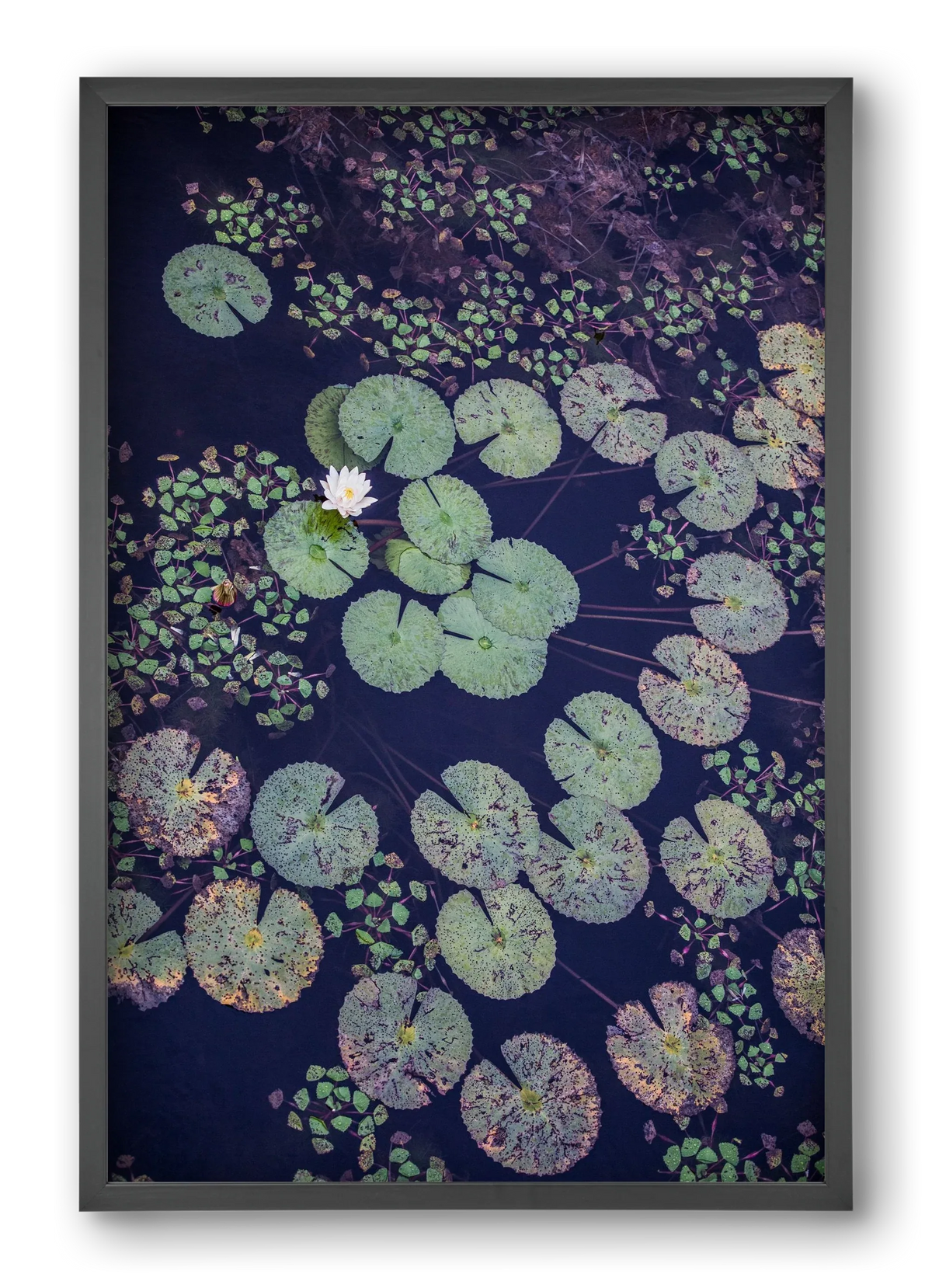 Okovango - artbridge