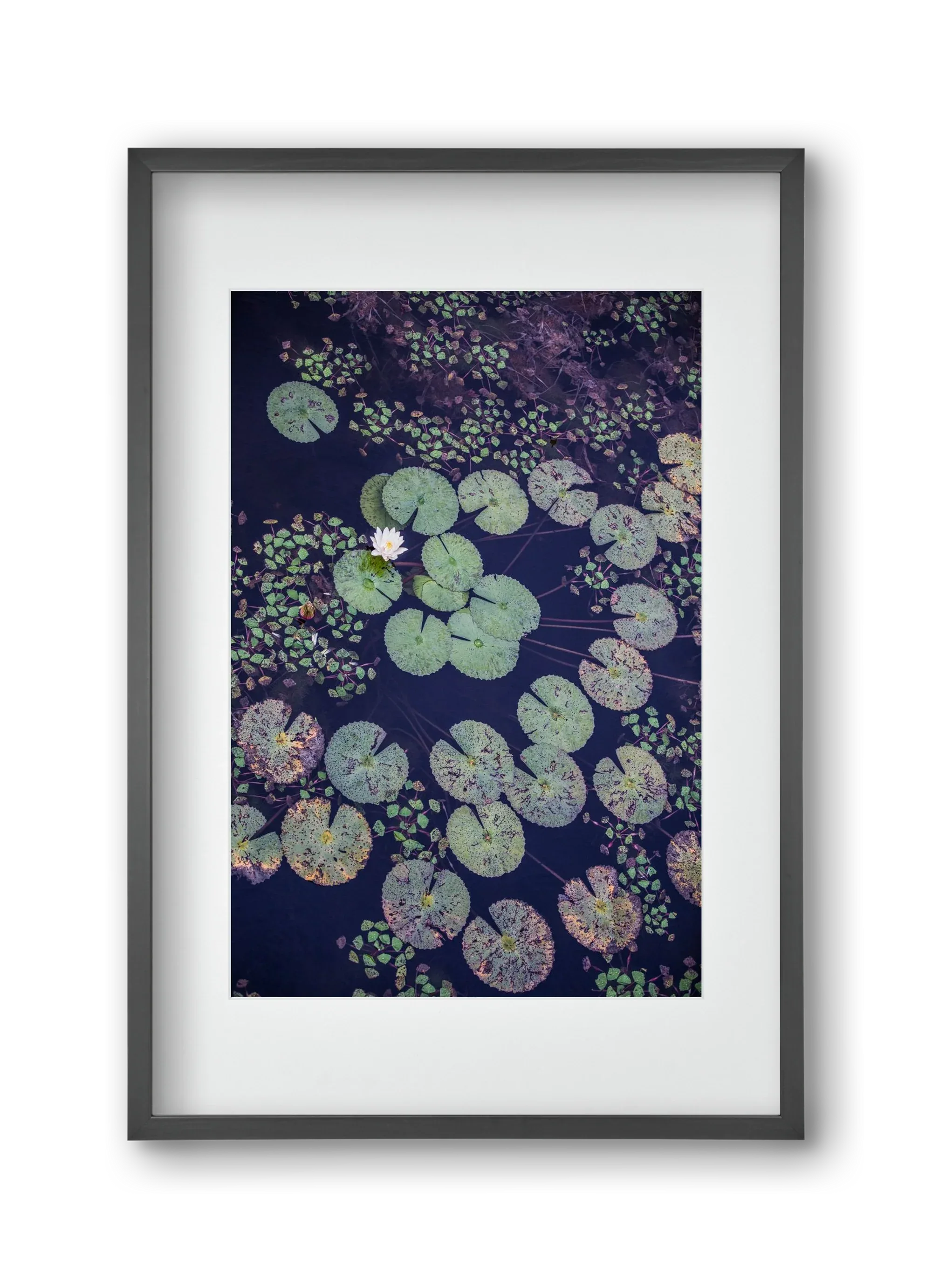 Okovango - artbridge