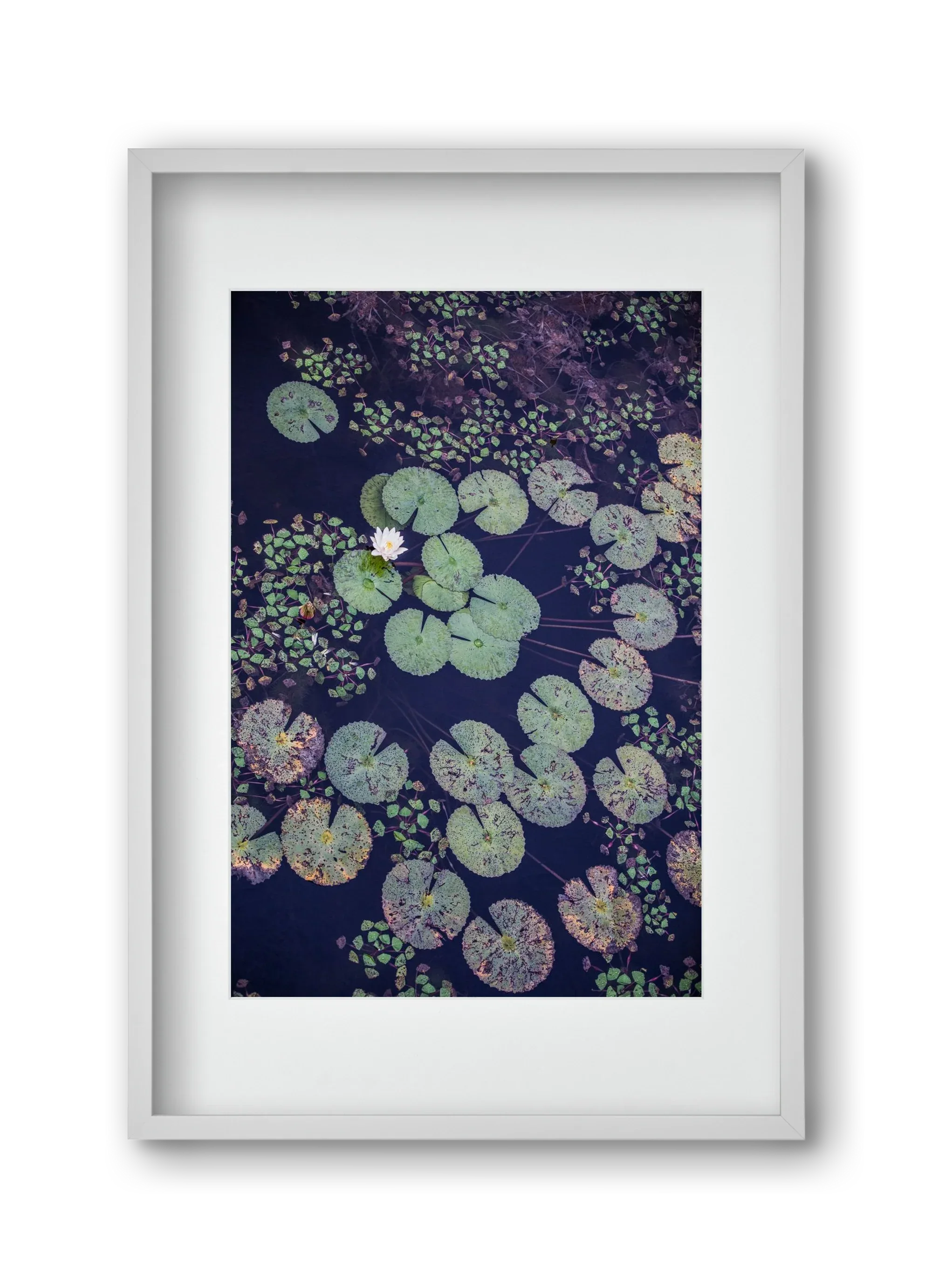 Okovango - artbridge