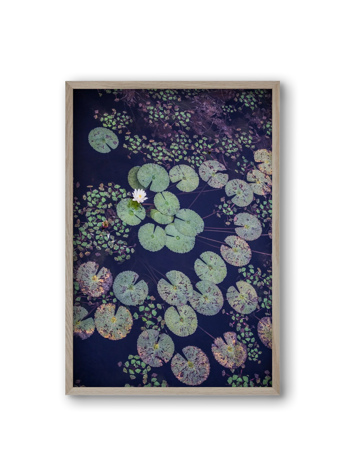 Okovango - artbridge