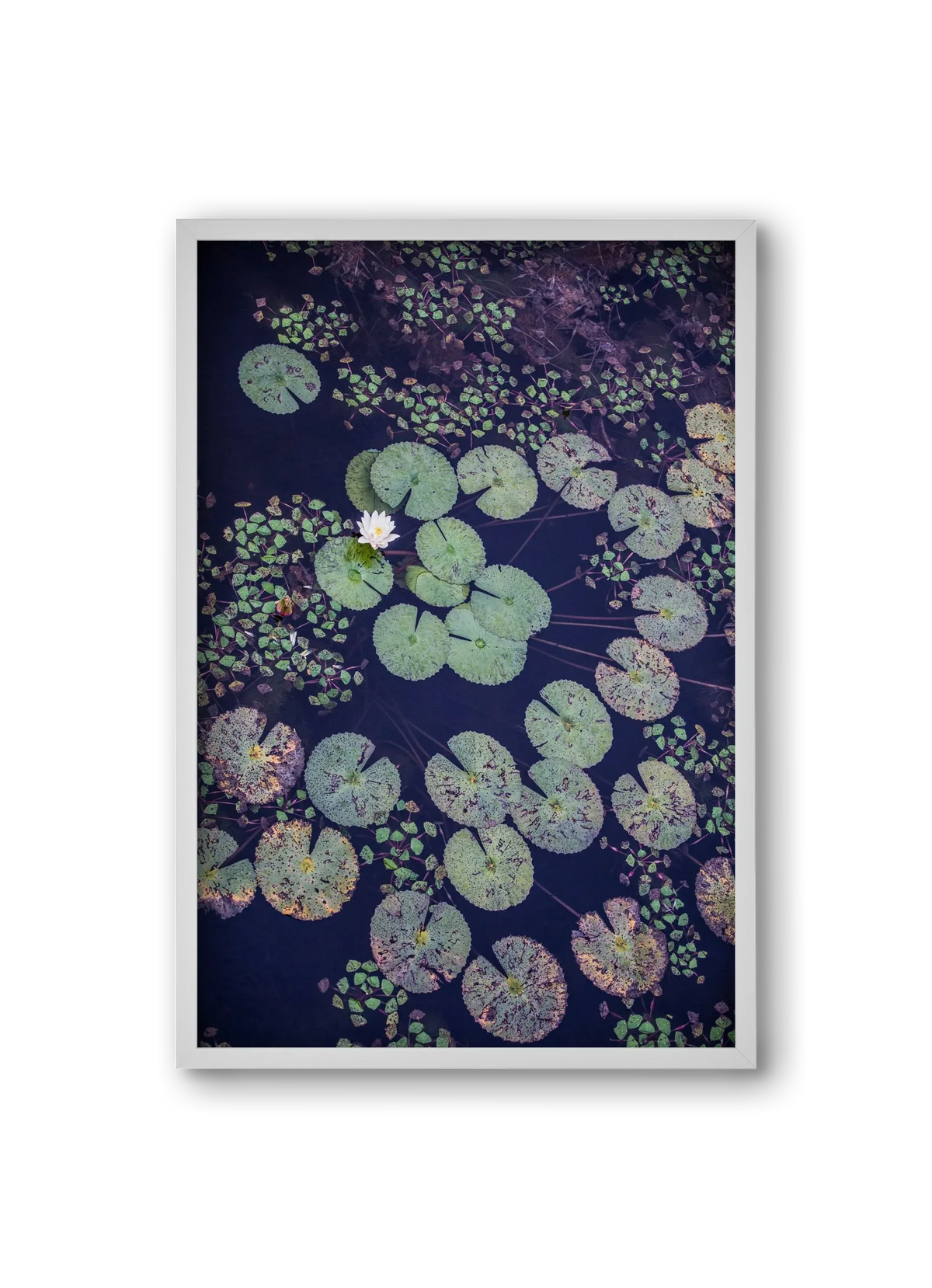 Okovango - artbridge