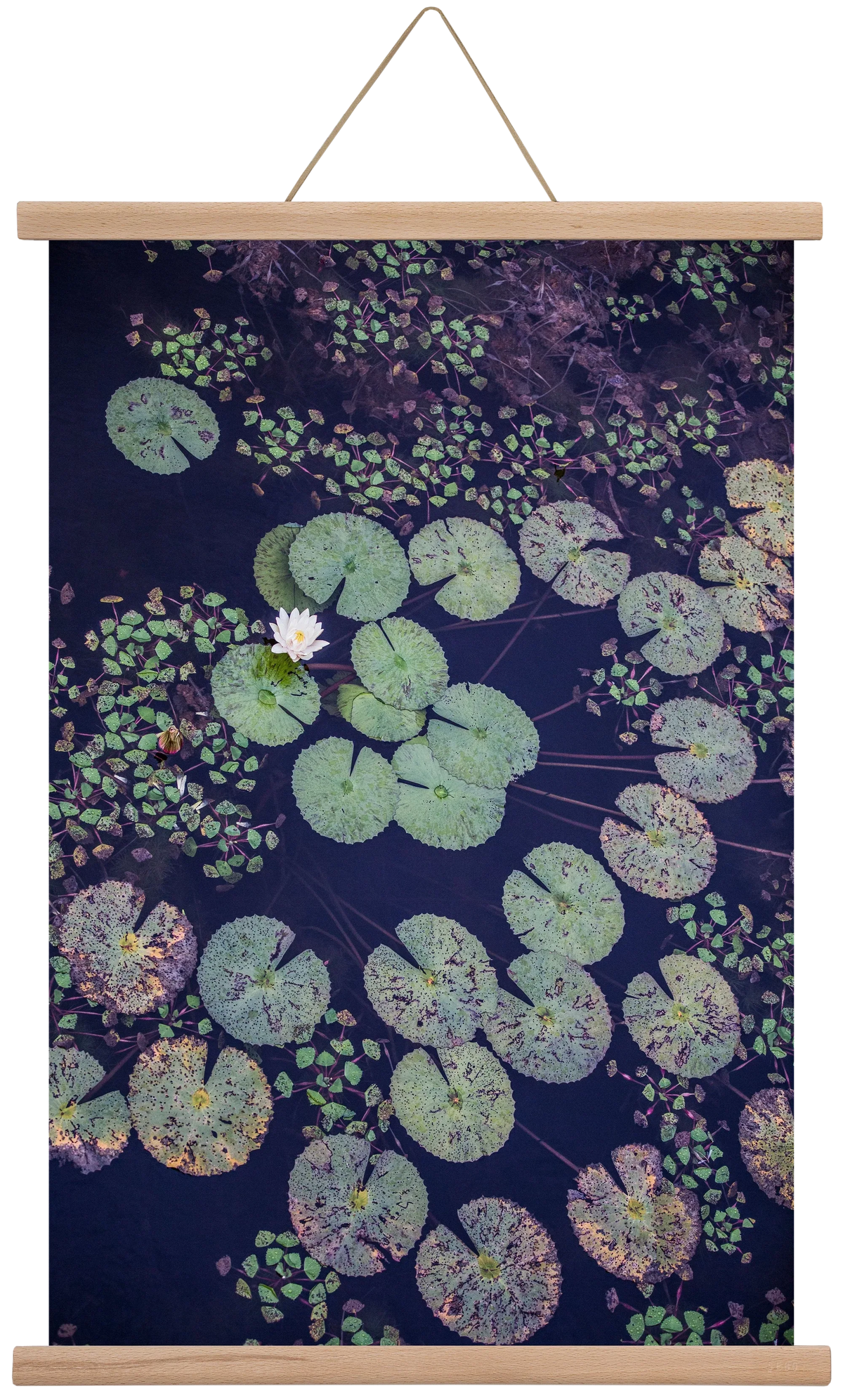 Okovango - artbridge