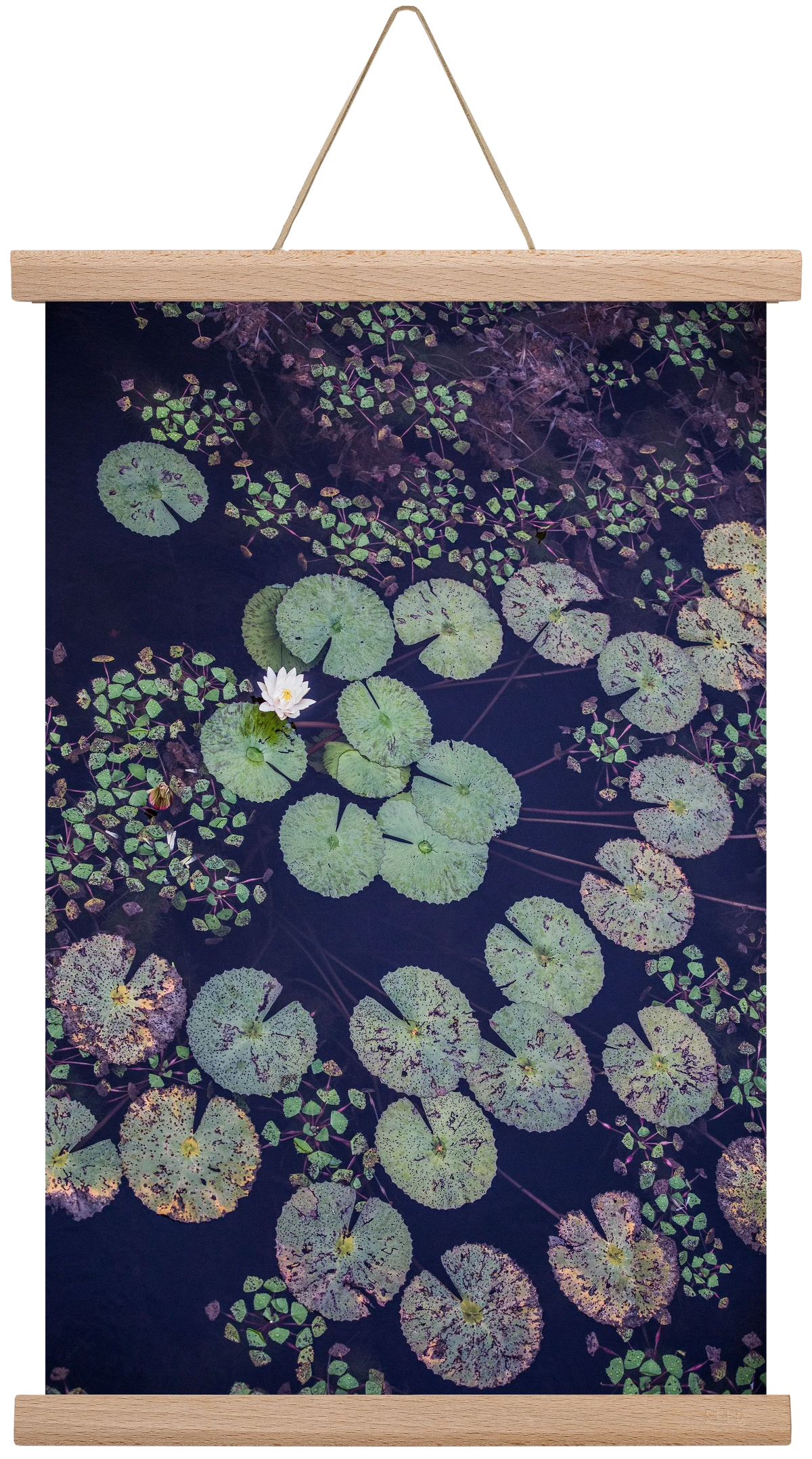 Okovango - artbridge