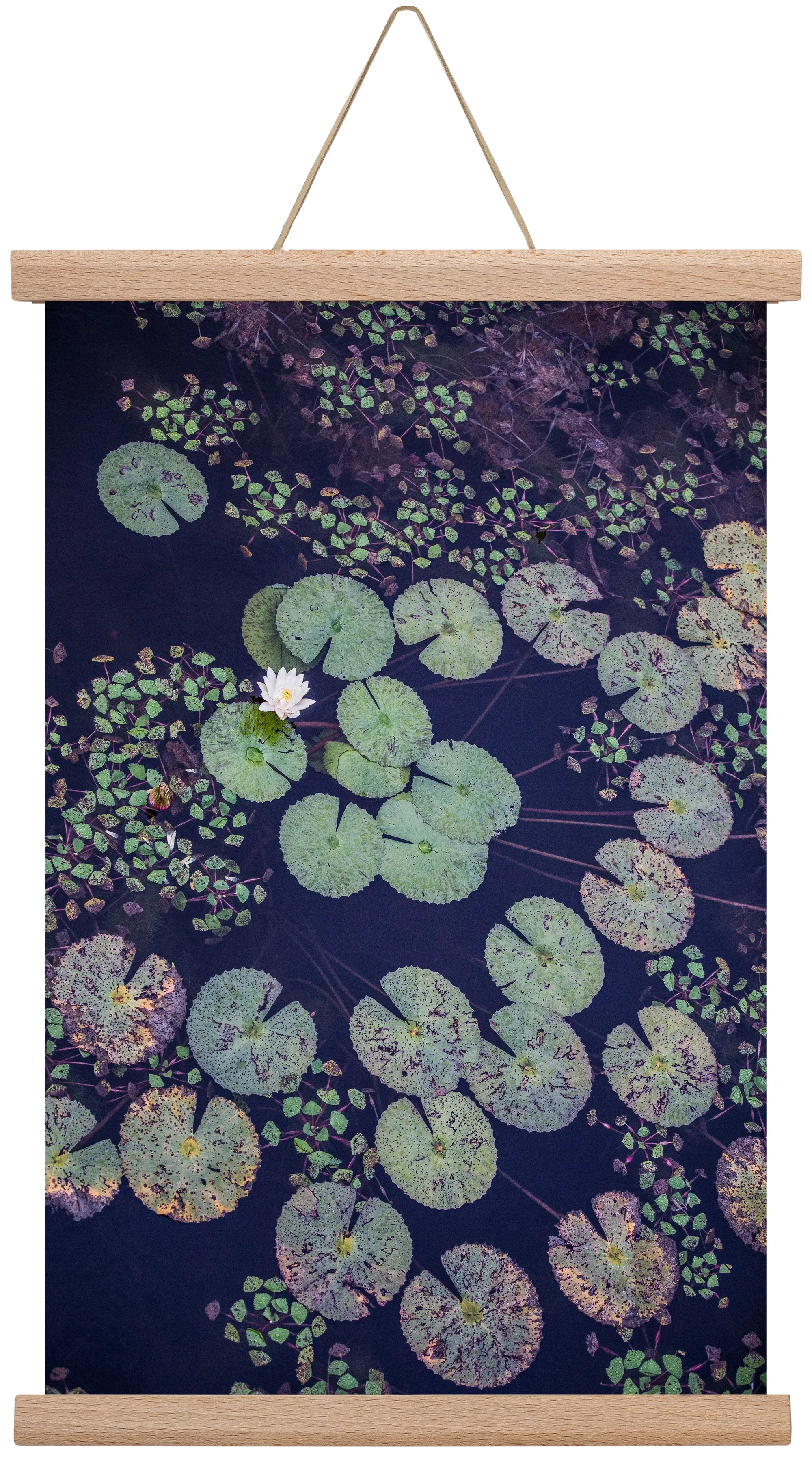 Okovango - artbridge
