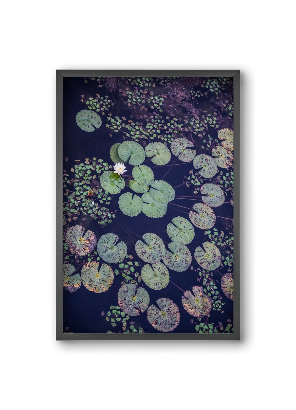 Okovango - artbridge