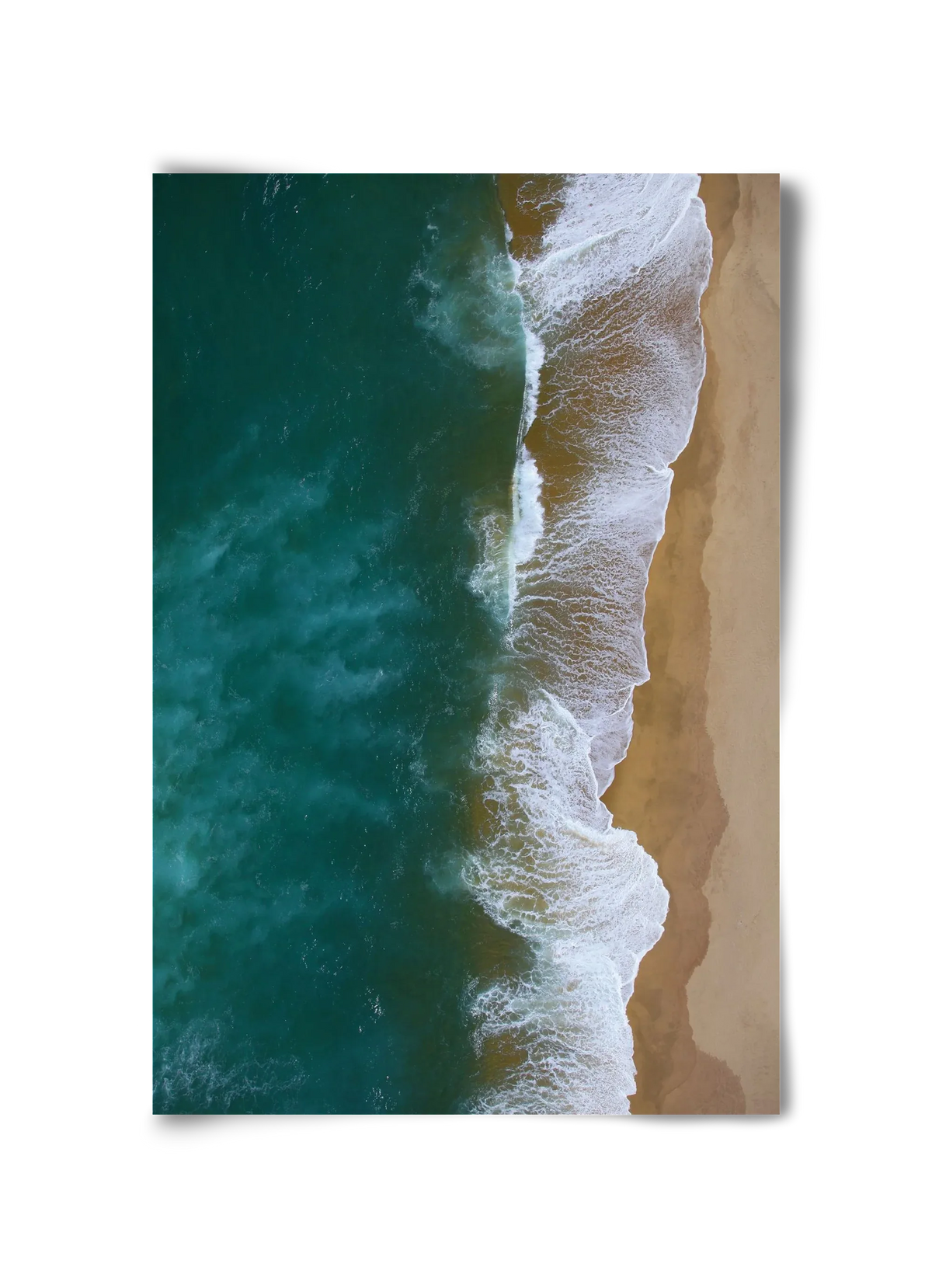 Shorelines - artbridge