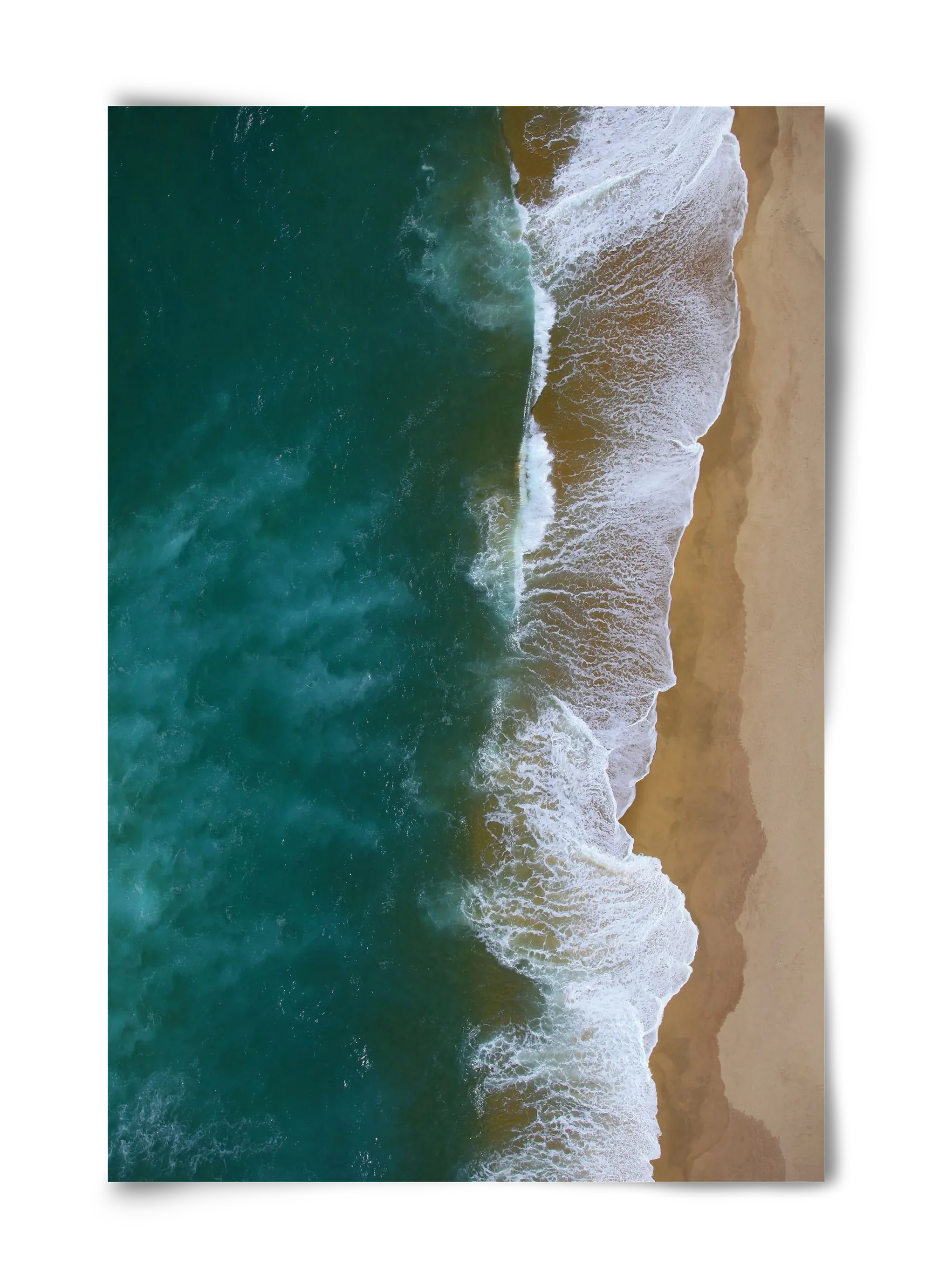 Shorelines - artbridge