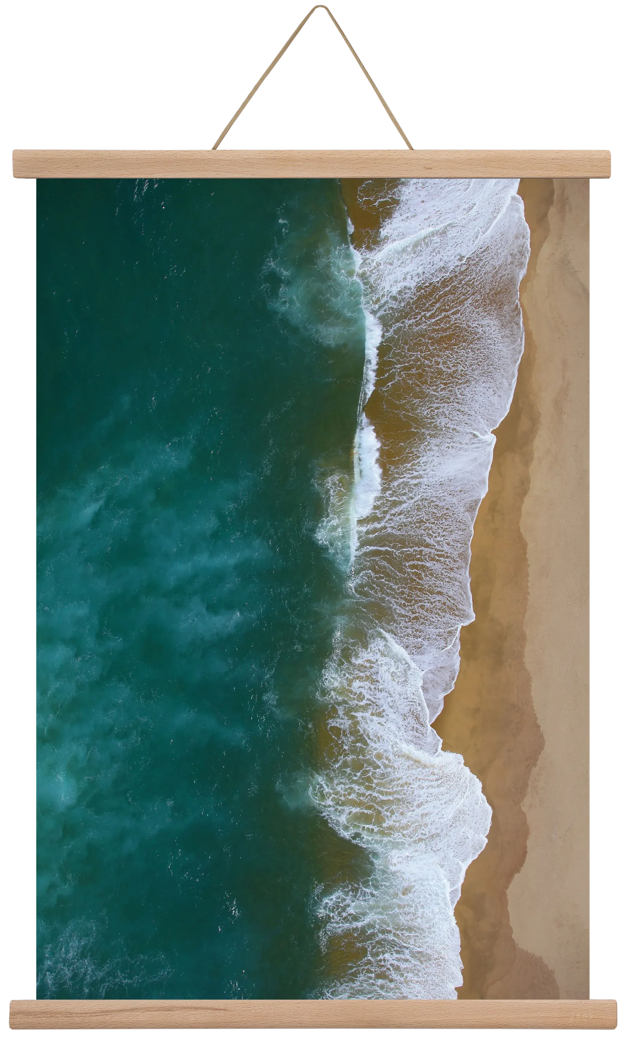 Shorelines - artbridge