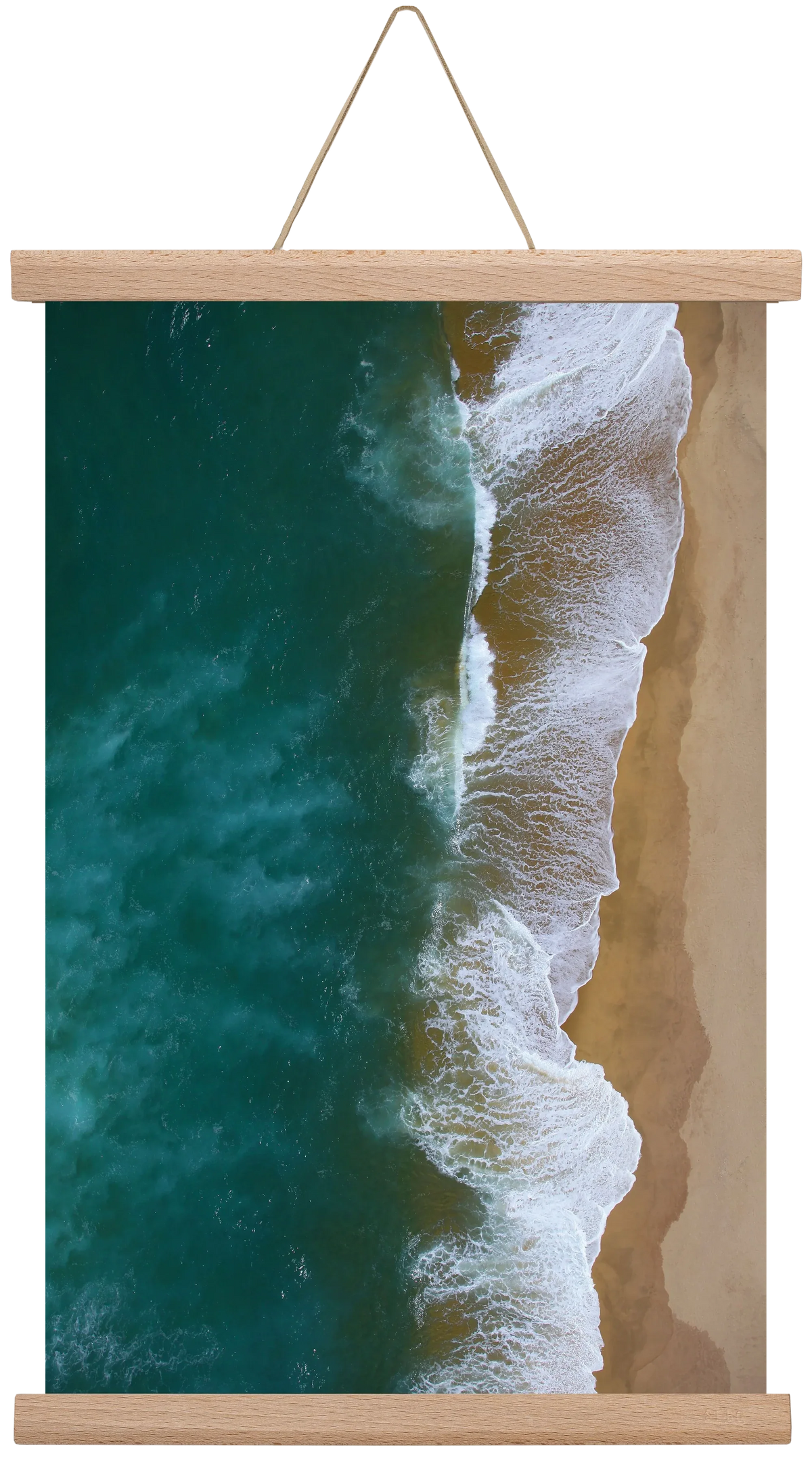 Shorelines - artbridge