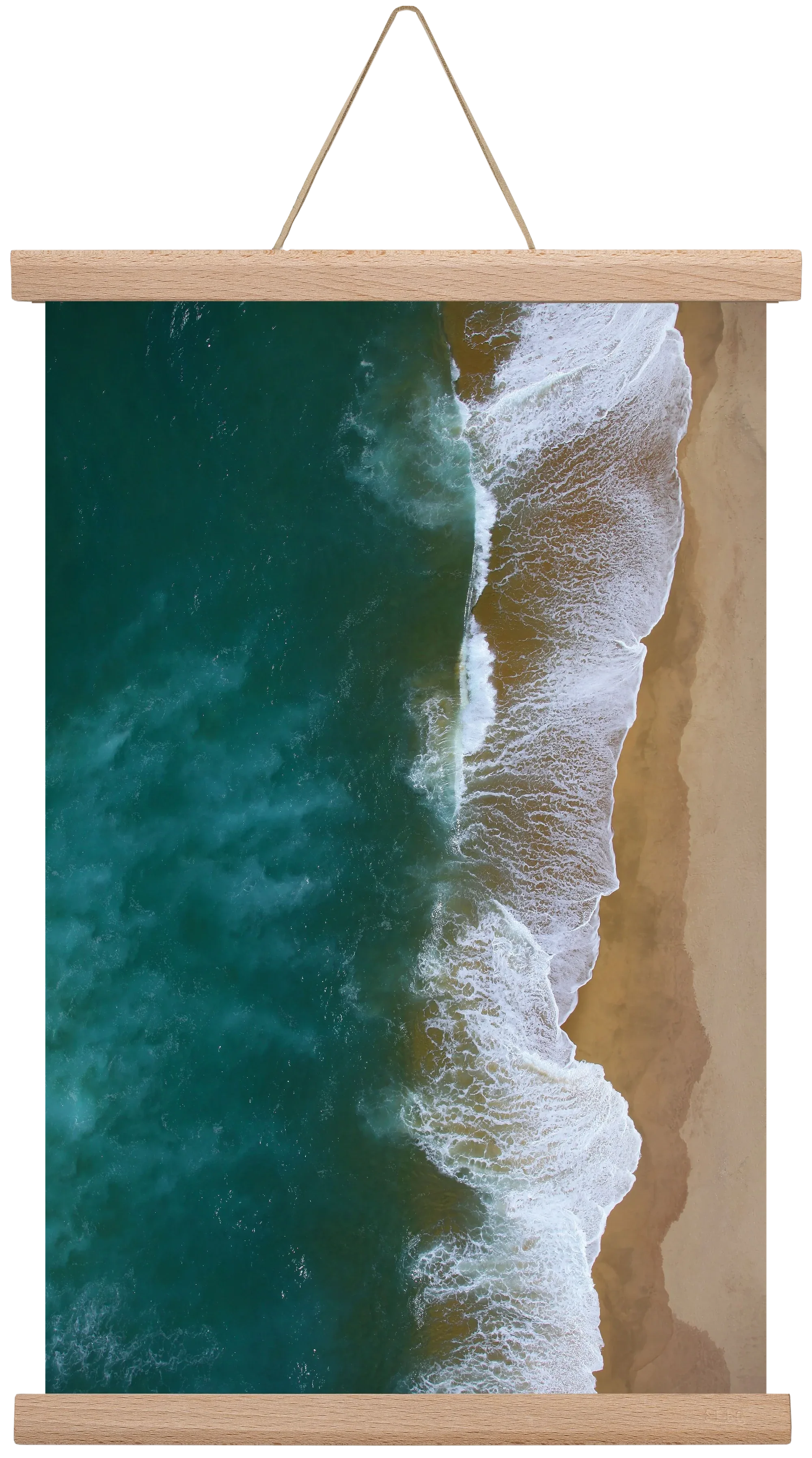 Shorelines - artbridge