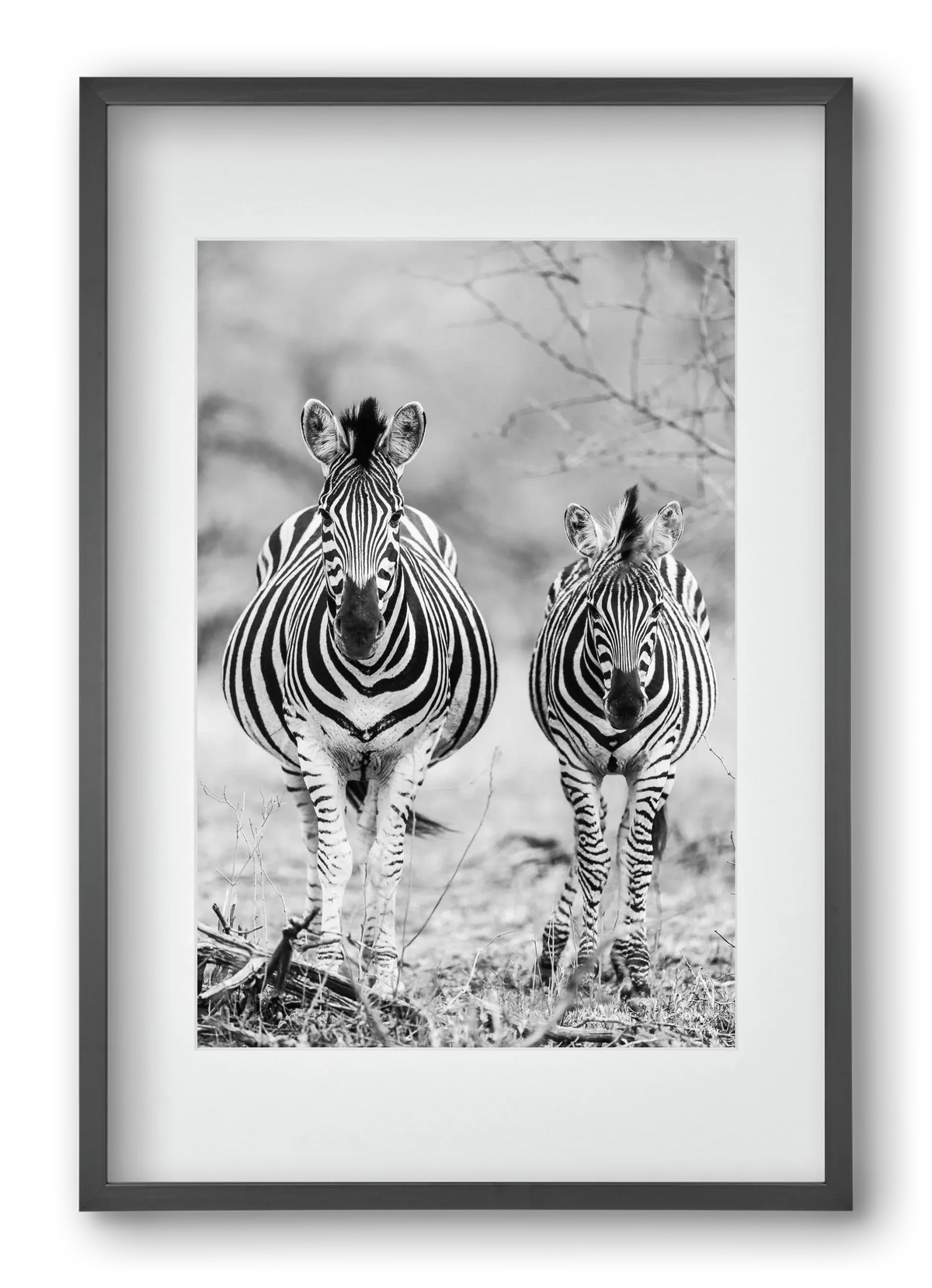 Striped horse - artbridge