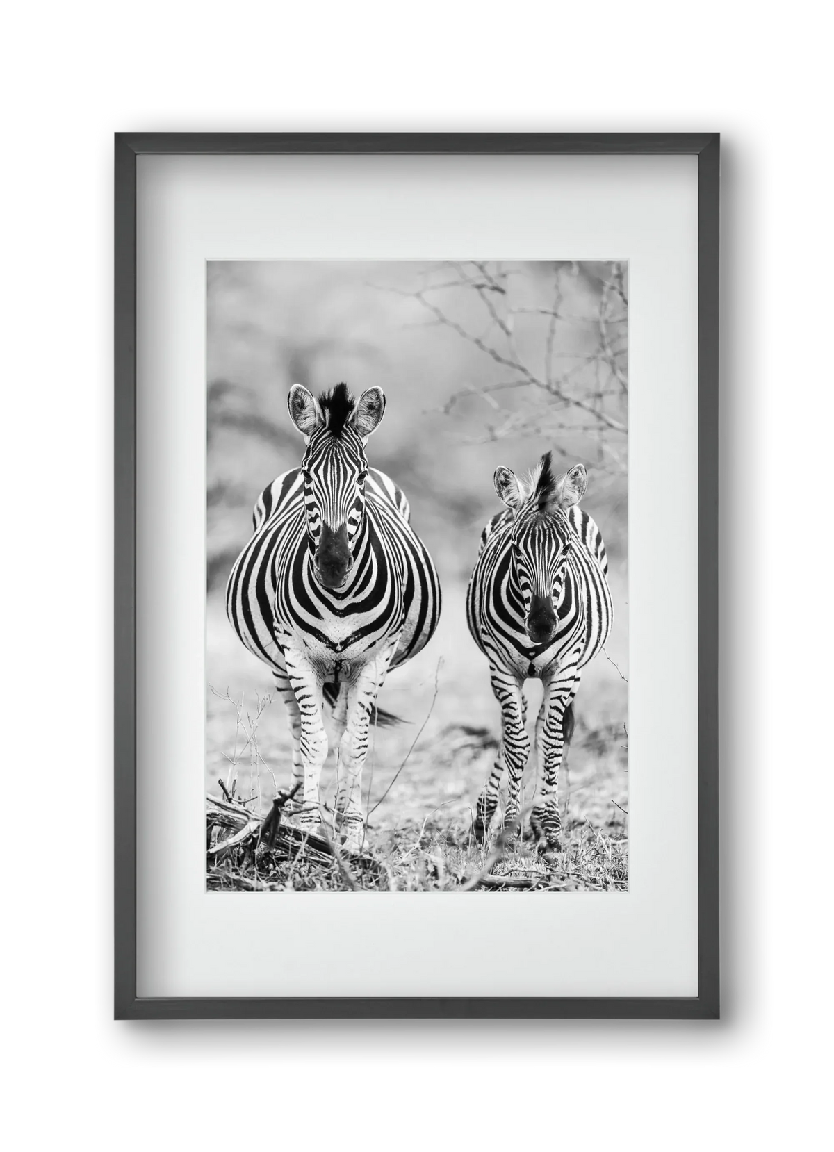 Striped horse - artbridge