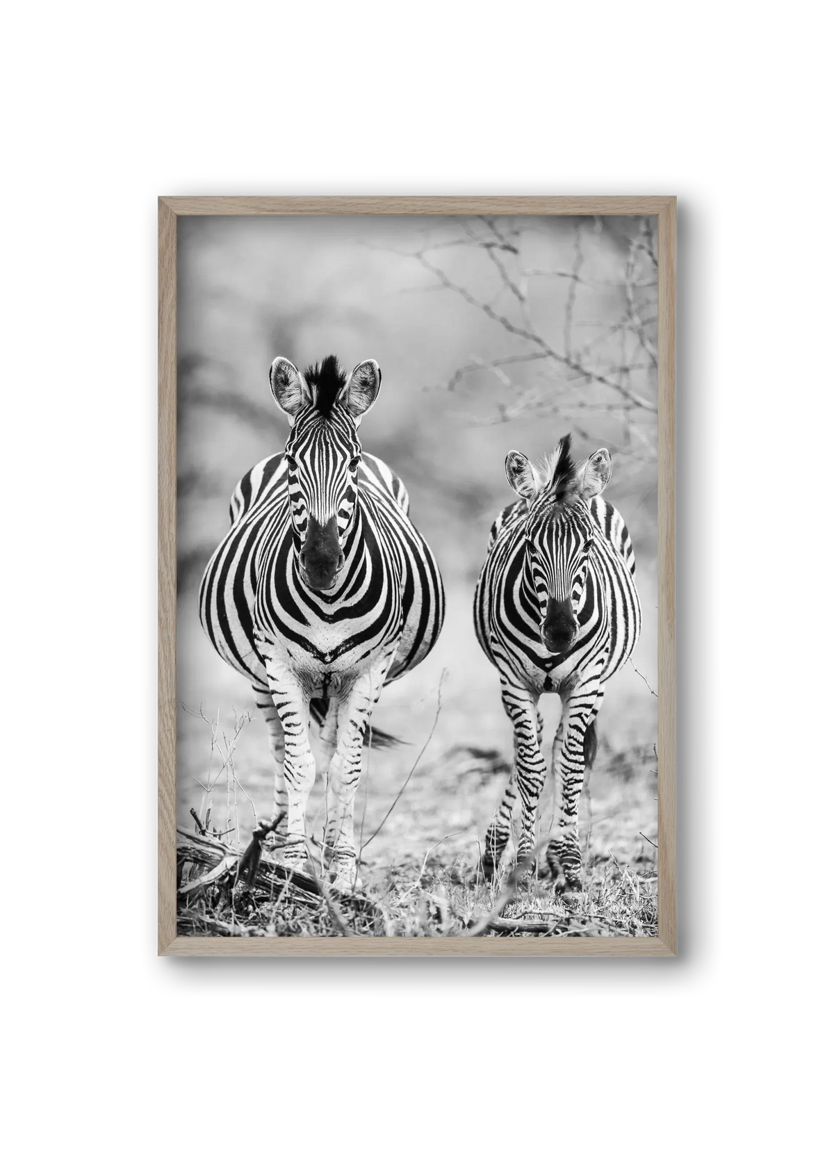 Striped horse - artbridge