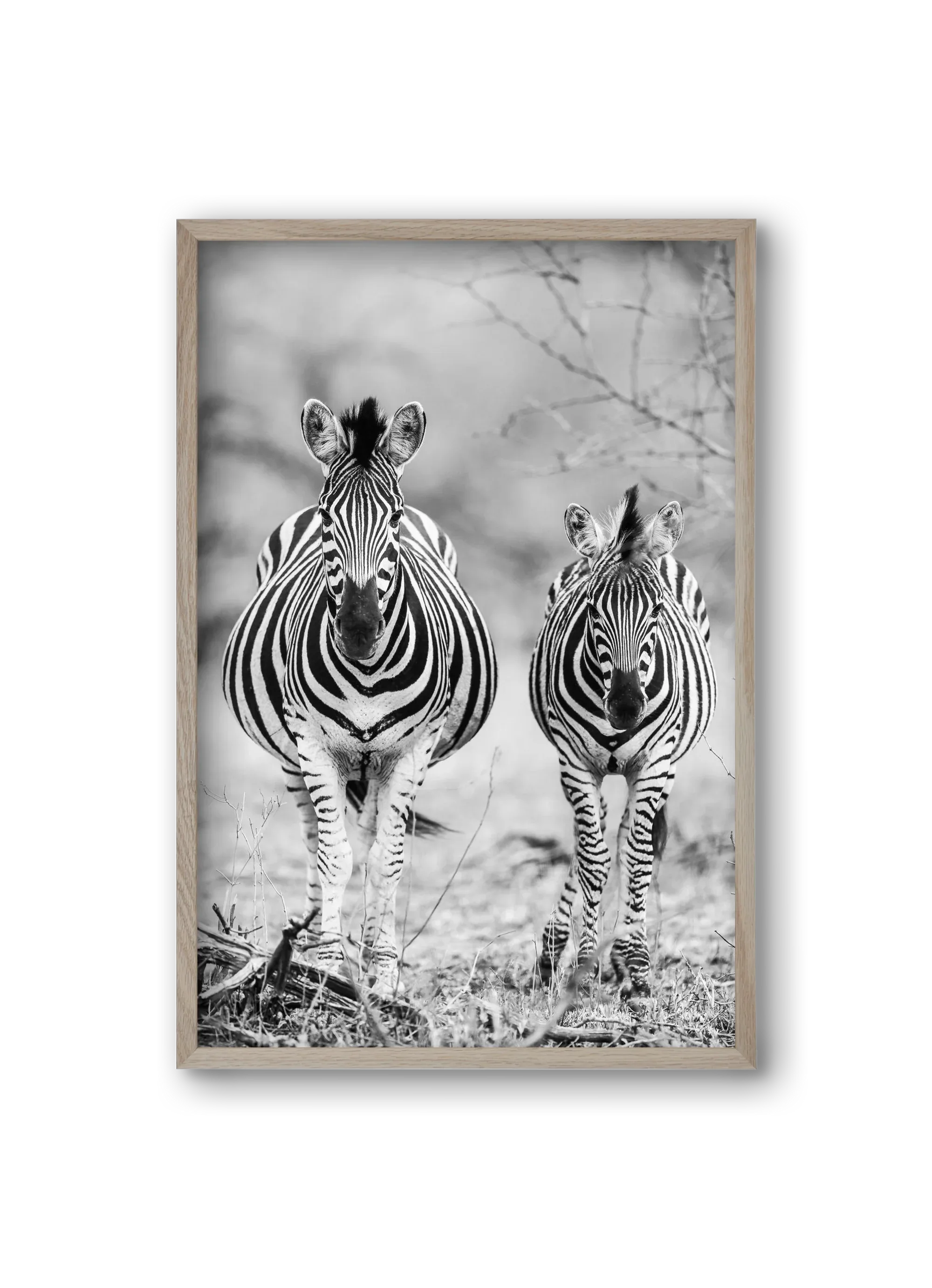 Striped horse - artbridge