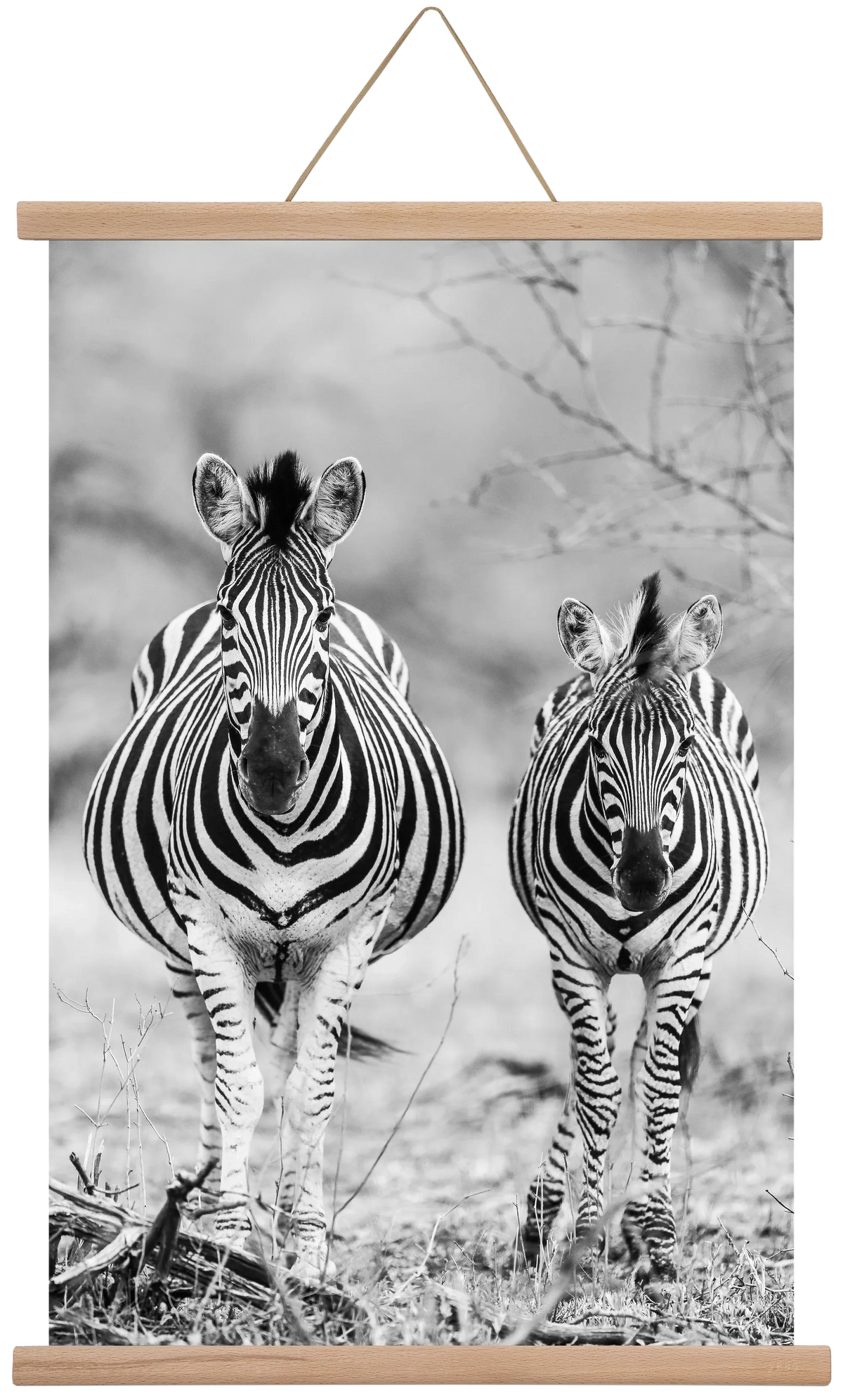 Striped horse - artbridge