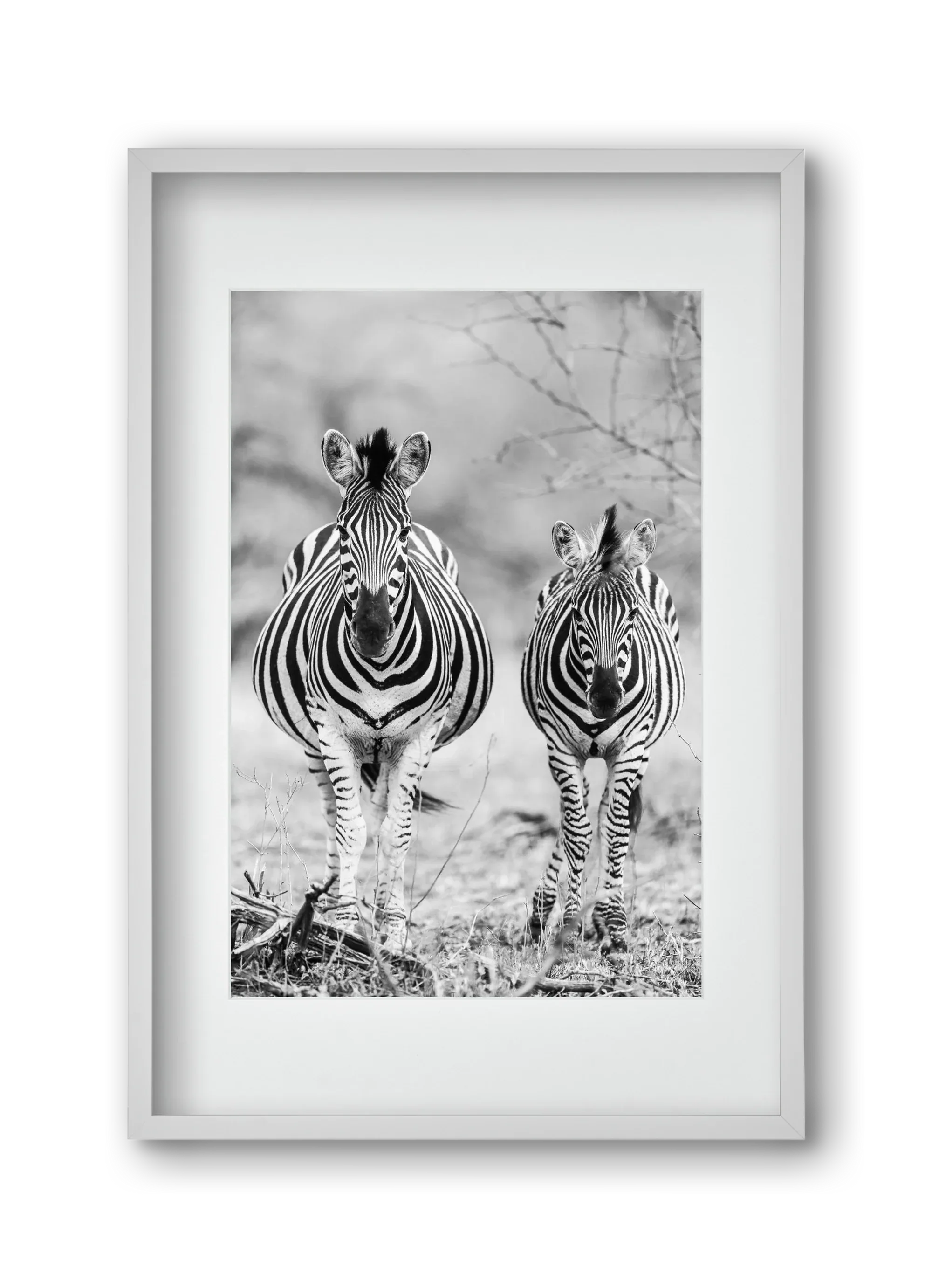 Striped horse - artbridge