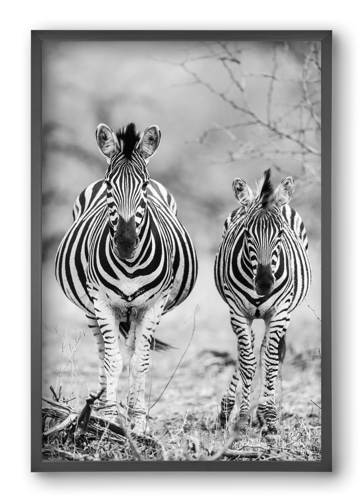 Striped horse - artbridge