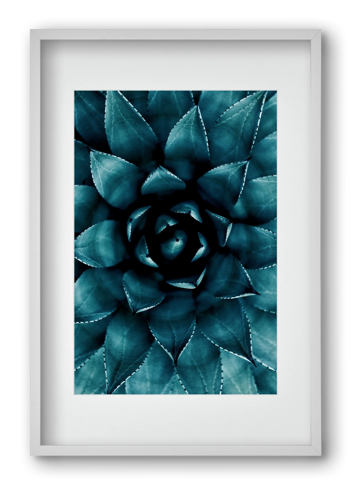 Cactus No. 9 - artbridge