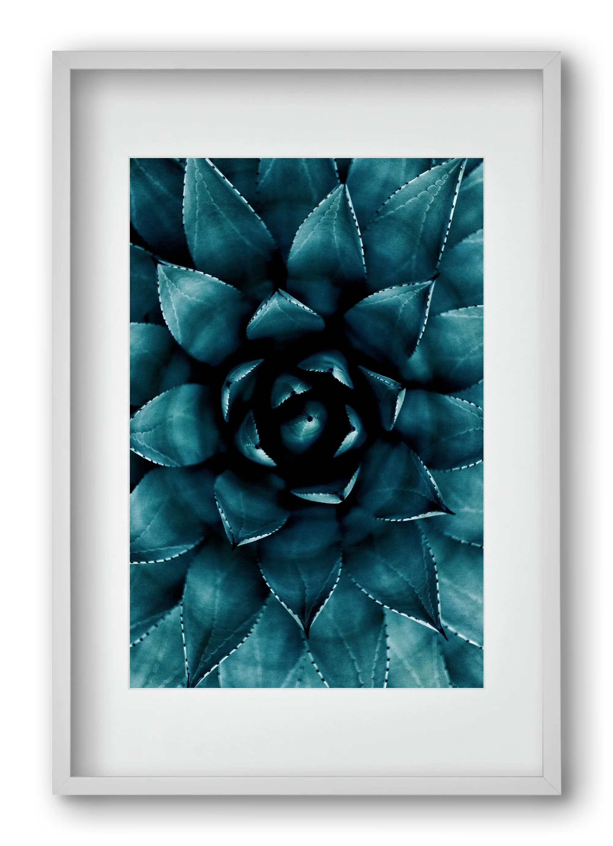 Cactus No. 9 - artbridge