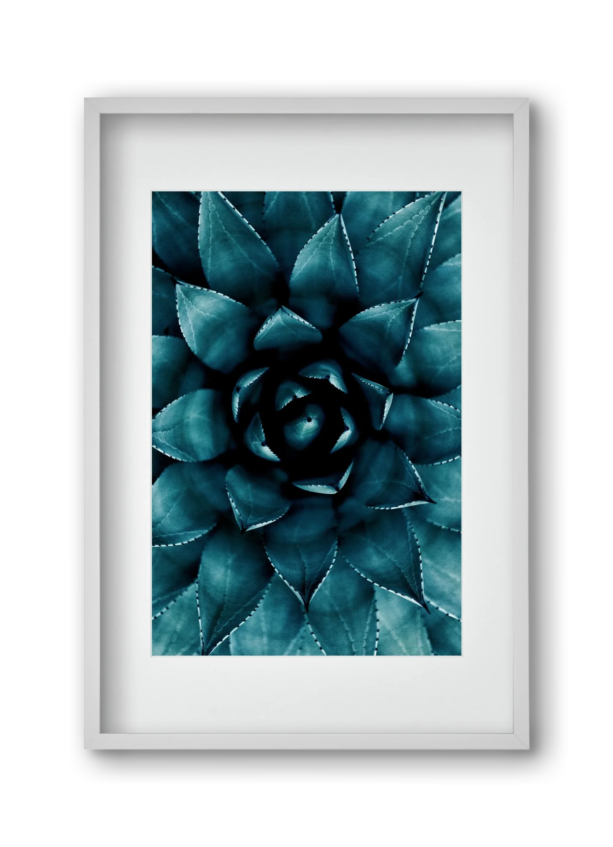Cactus No. 9 - artbridge