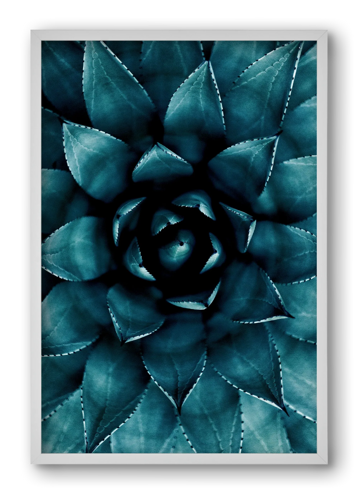 Cactus No. 9 - artbridge