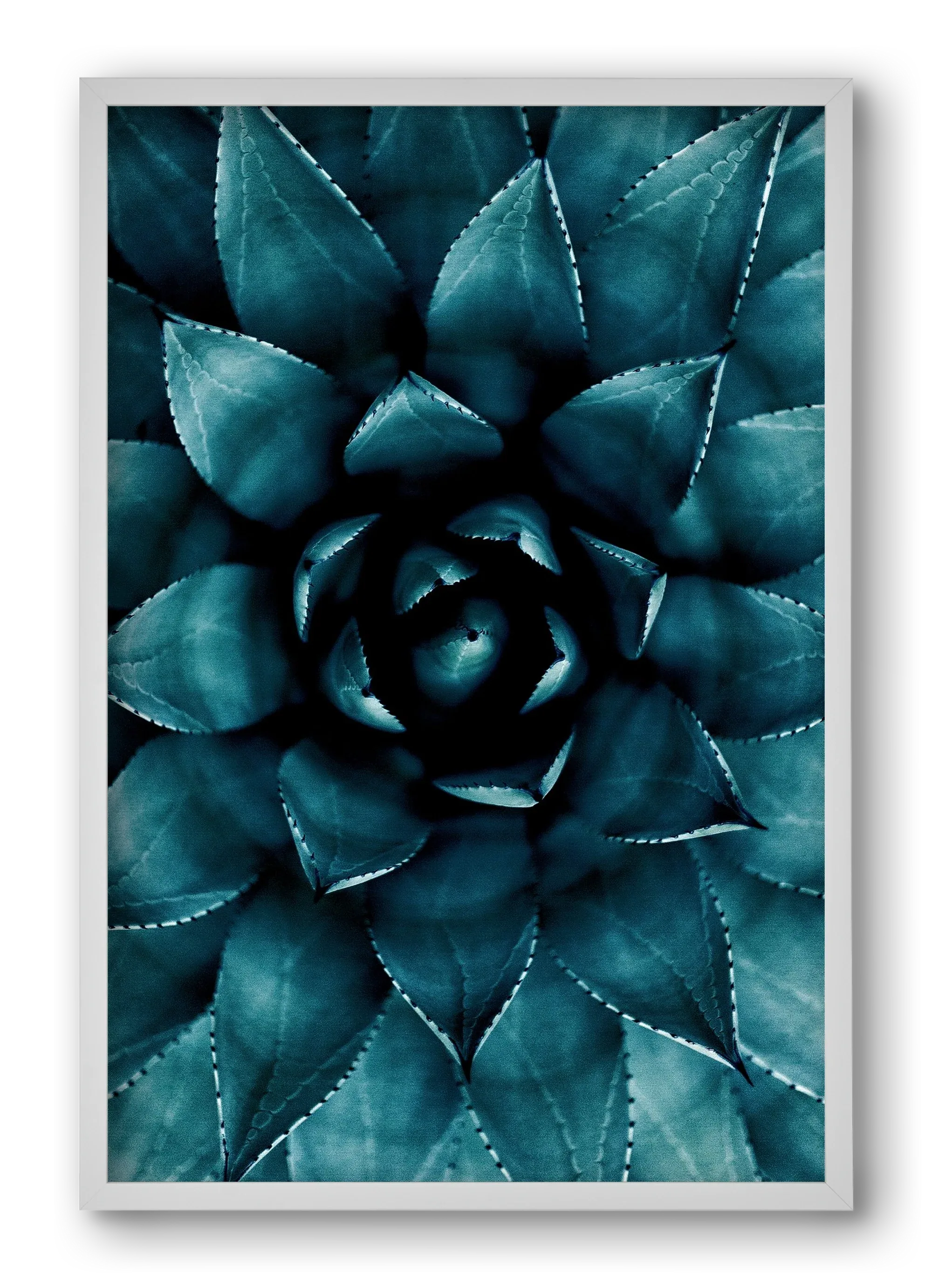 Cactus No. 9 - artbridge